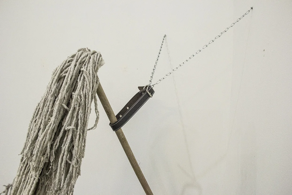 Trapo Viejo Close Up.jpg