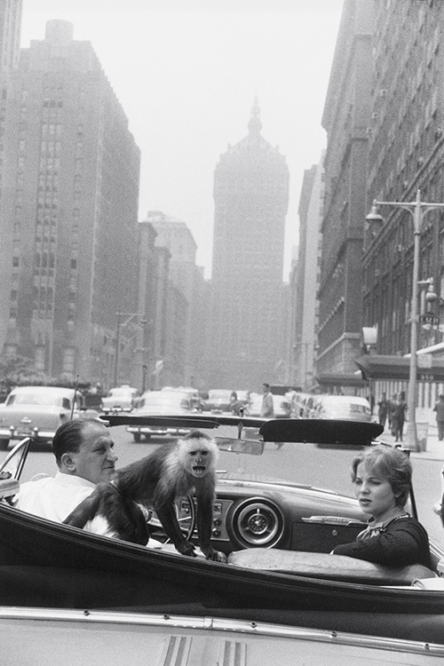 Winogrand_Park_Ave_NY_1959_sm.jpg