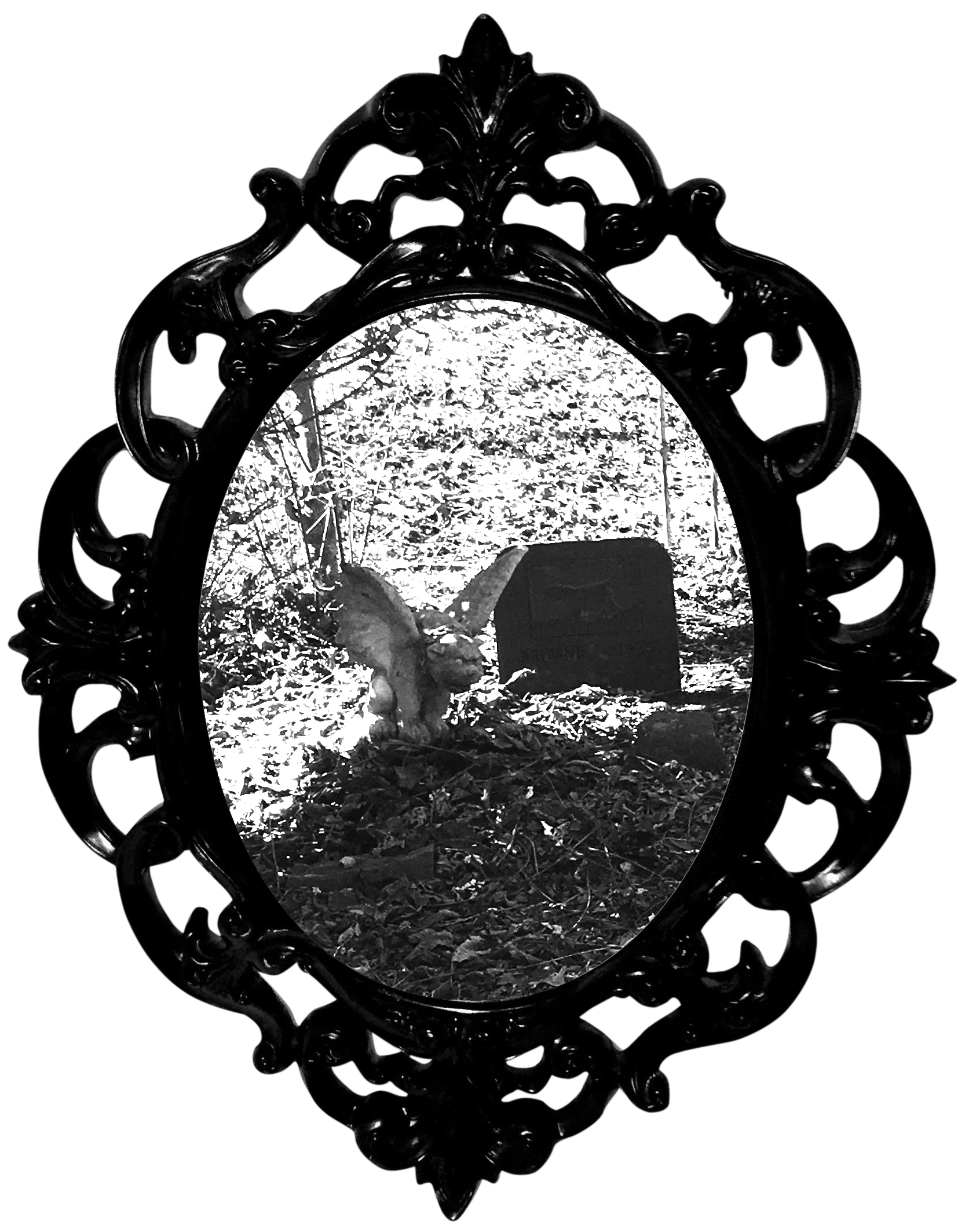 A gargoyle keeps watch. The Pet Cemetery at Charles Addams Home “The Swamp”.
