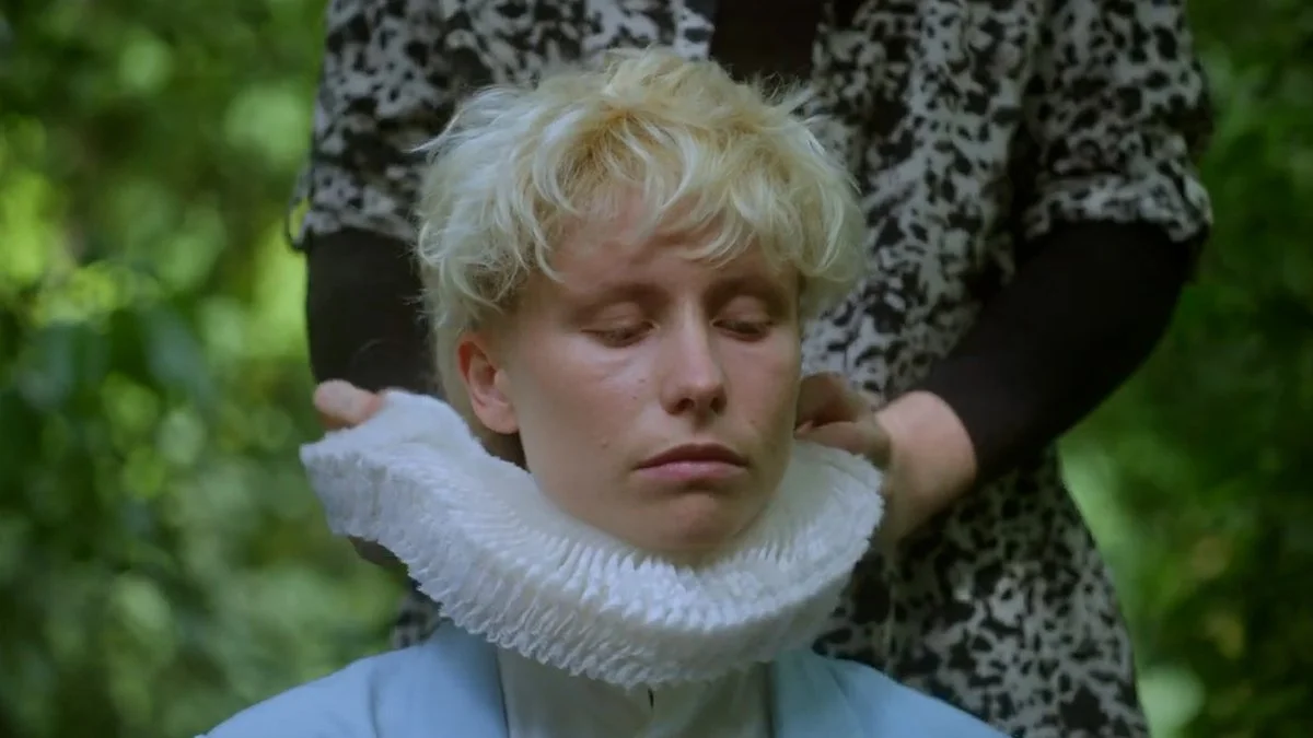 Films We Like Presents "ORLANDO, MY POLITICAL BIOGRAPHY" by Paul B. Preciado