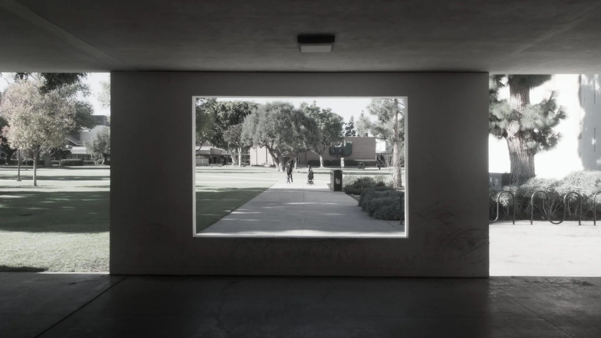 Films We Like acquires "Robert Irwin: A Desert of Pure Feeling" by Jennifer Lane