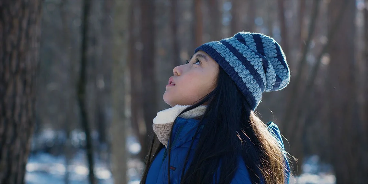 Films We Like presents Ryusuke Hamaguchi's EVIL DOES NOT EXIST