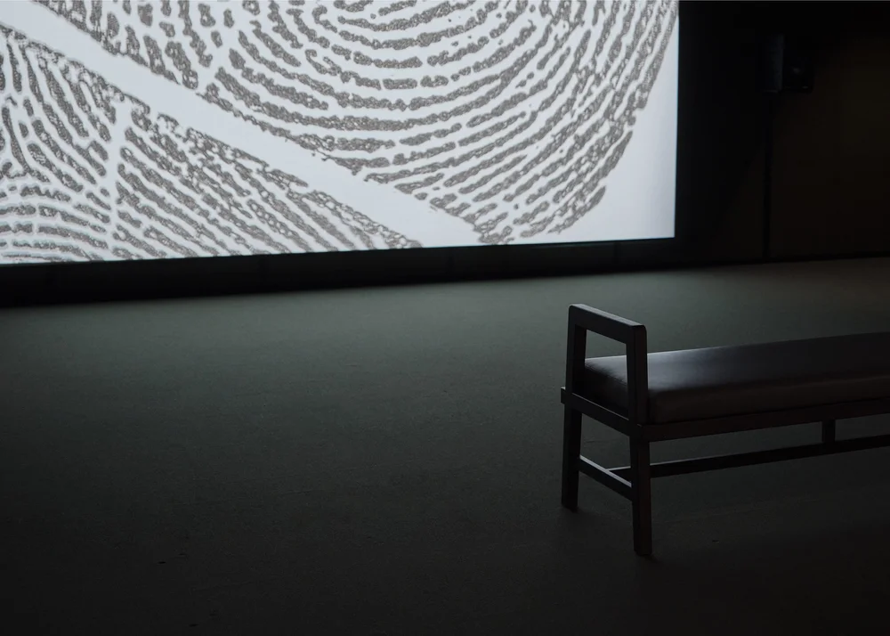 JA+Projects+2023+©Thomas+Adank_Genetic Automata_21small.jpg