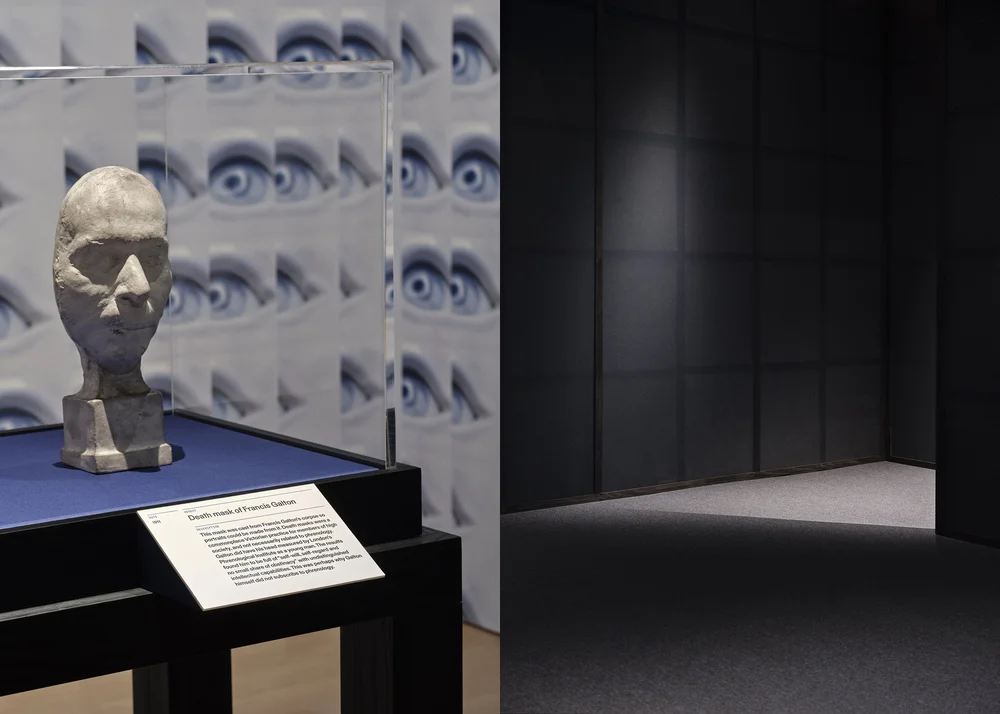 JA+Projects+2023+©Thomas+Adank_Genetic Automata_15+19small.jpg