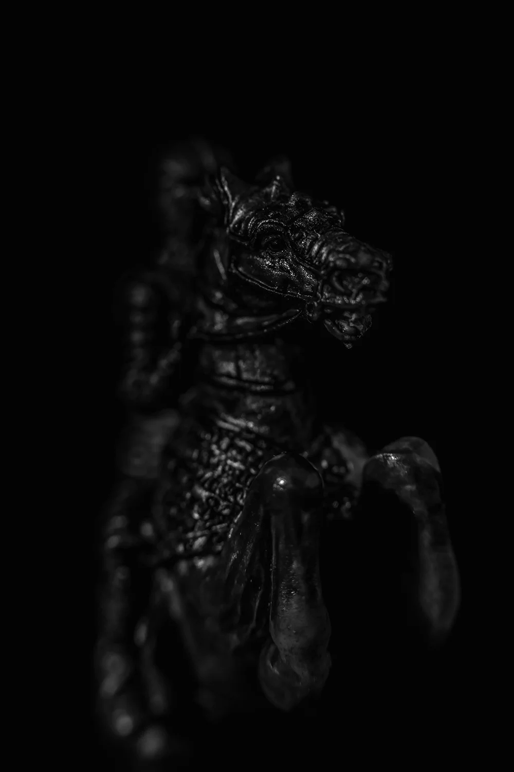 _DSC5998-chess-horse-1000.jpg