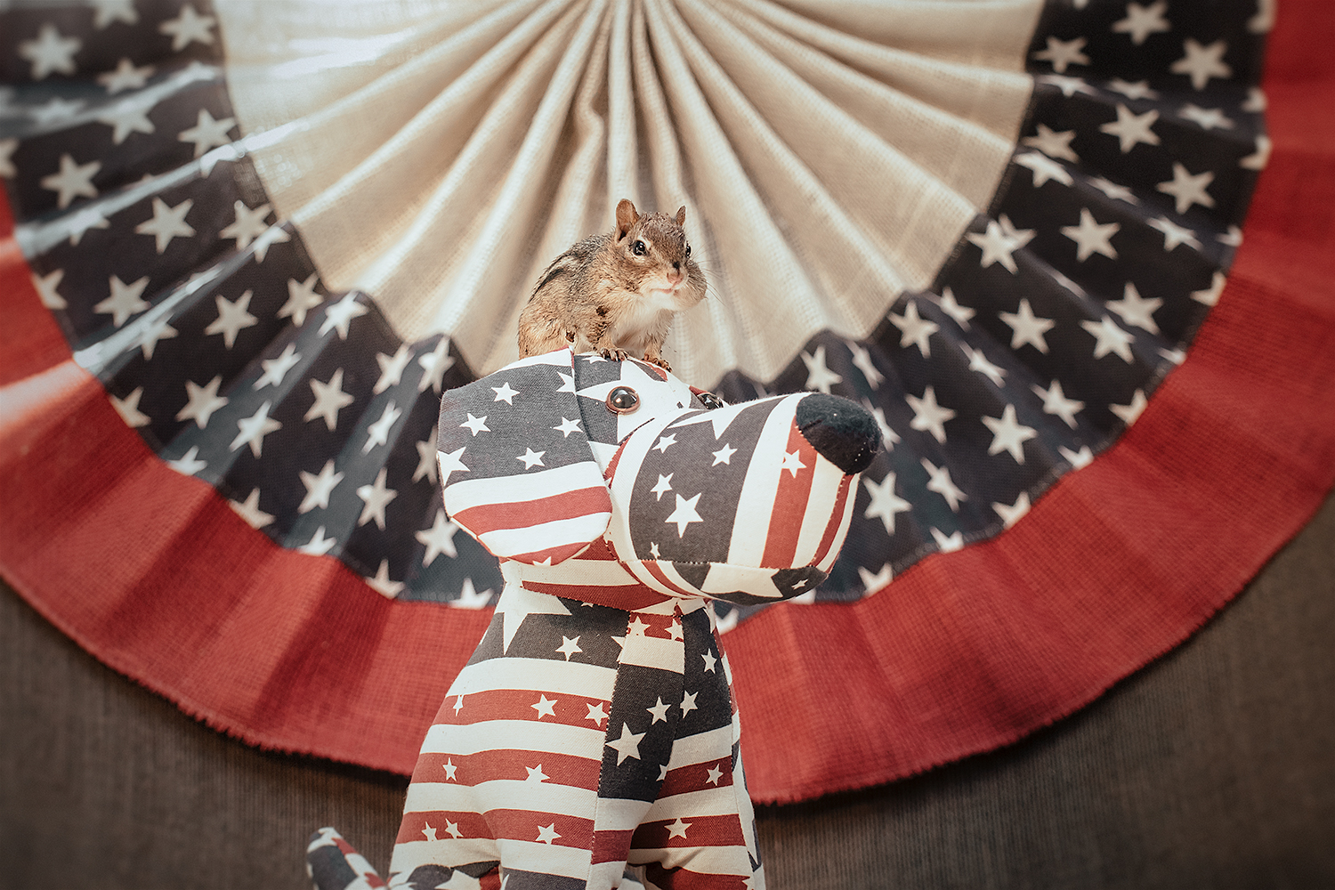 _DSC5506-chipmunk-july4th-independence-day-1000.jpg