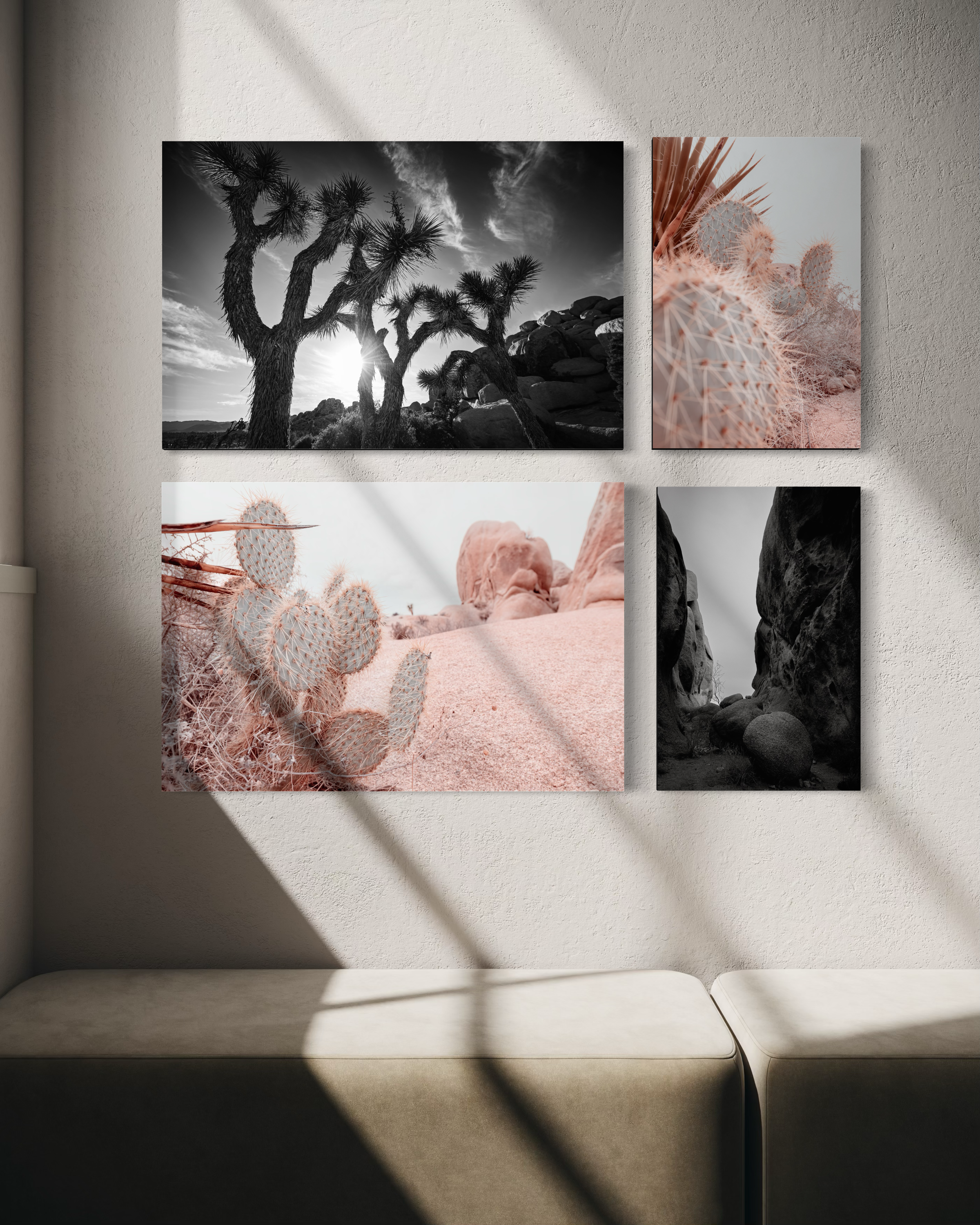 Introductory Package