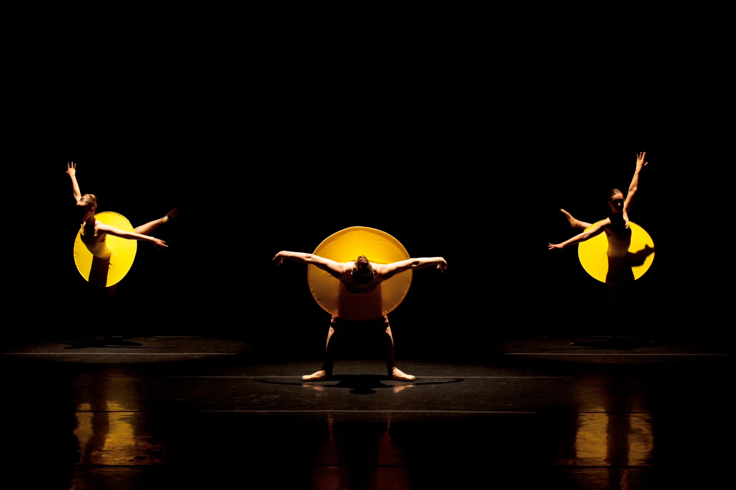 Summer from four seasons of the soul, the ruth page center, chicago (2014)
