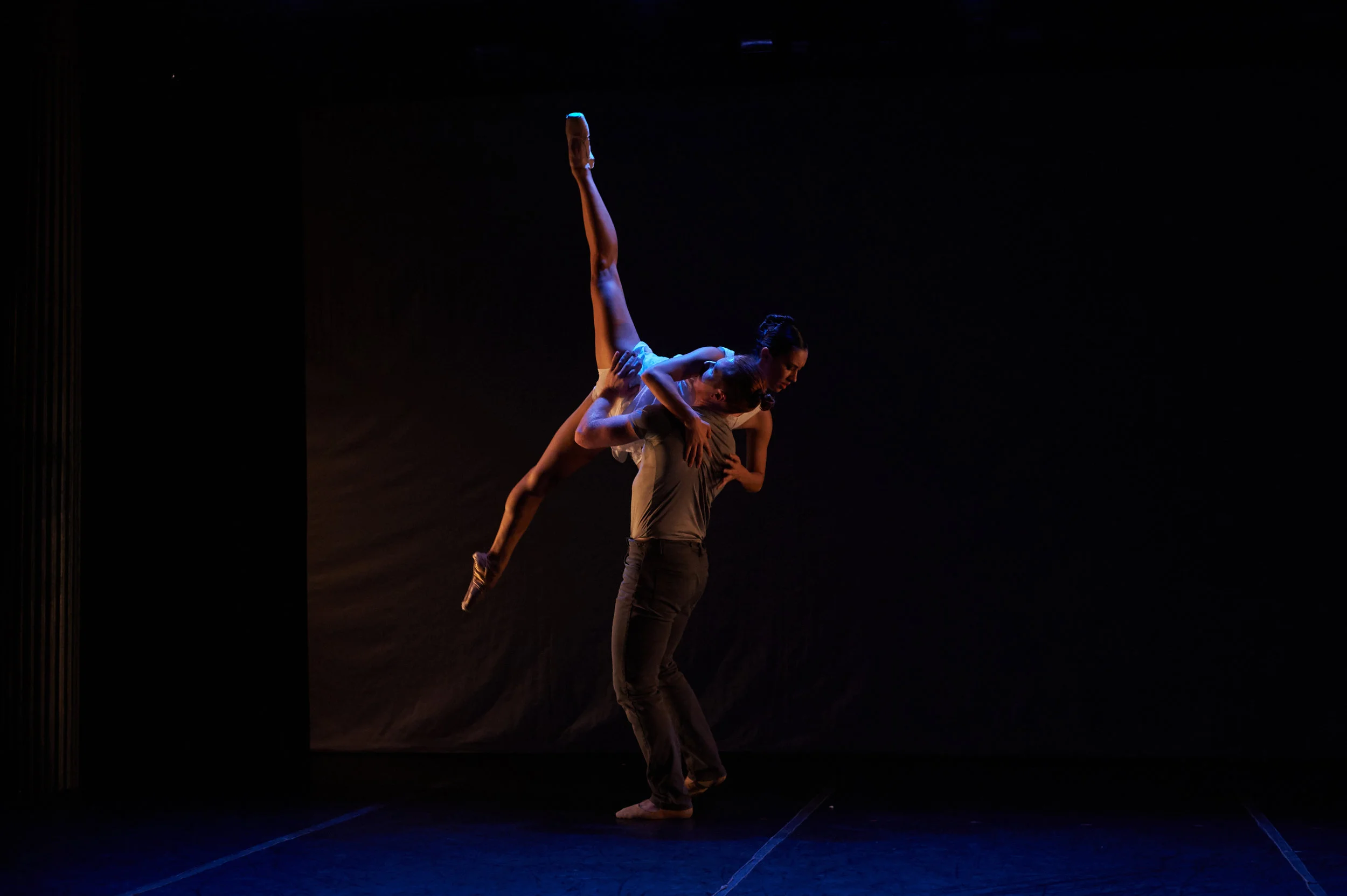 Image of the Invisible | Vivid Ballet