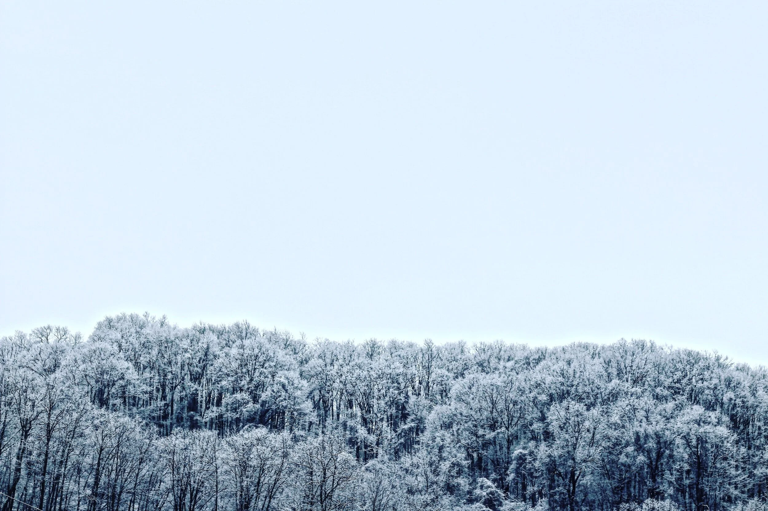 30E8E1B0-5CB9-4F1D-972A-2D744682BCEF.jpeg