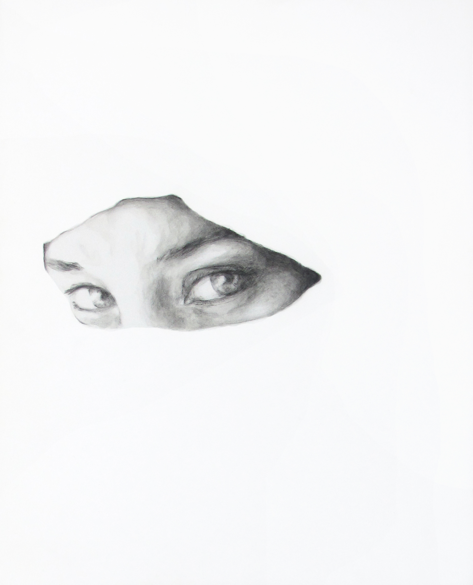 Veiled Face, Lebanon (31.January.2014)
