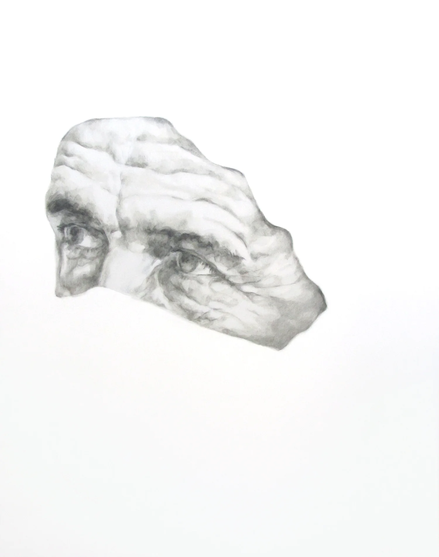 Obscured_2012_Protected_Face_USA_9.Sep.jpg