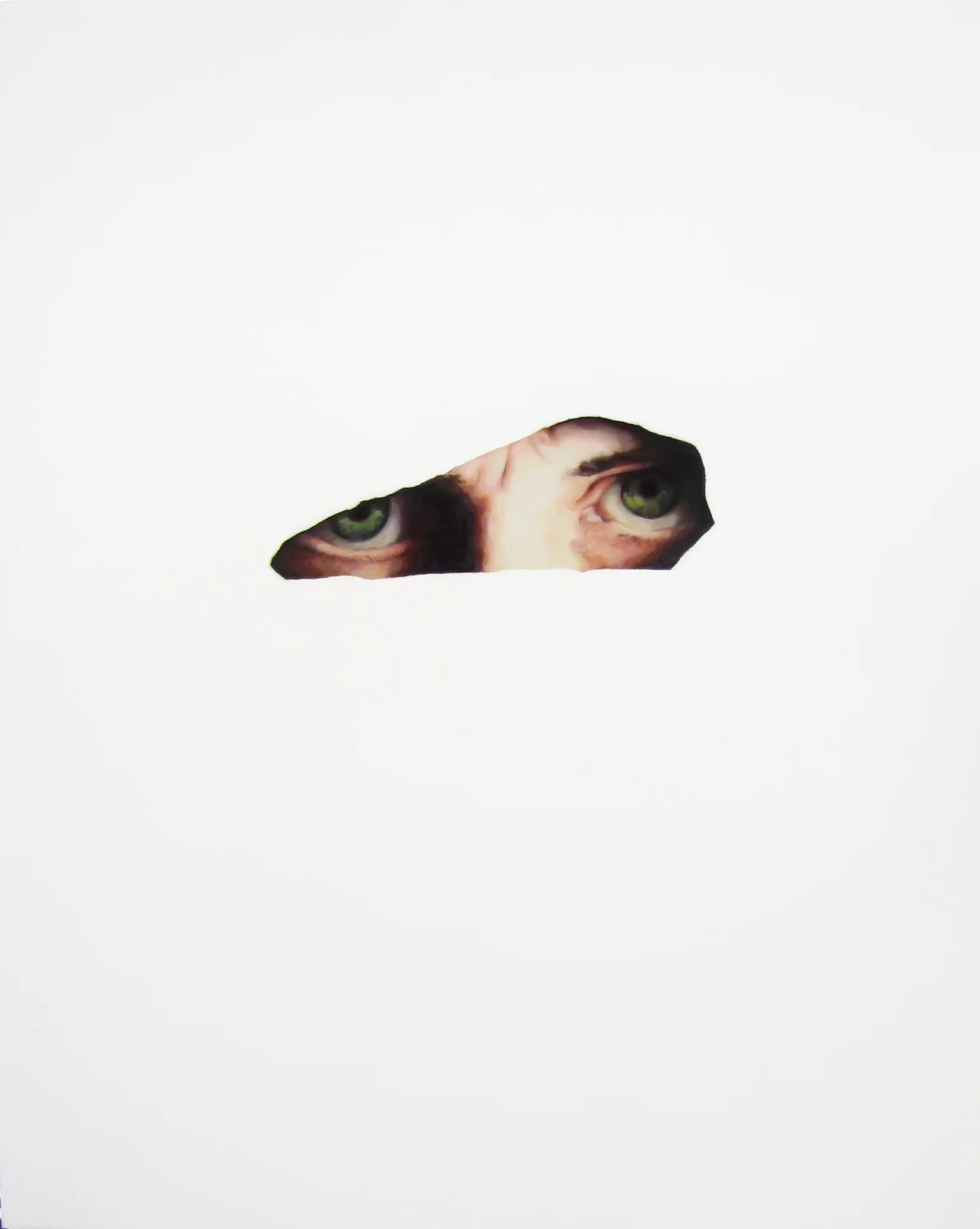 Covered Face, U.S.A. (120514)
