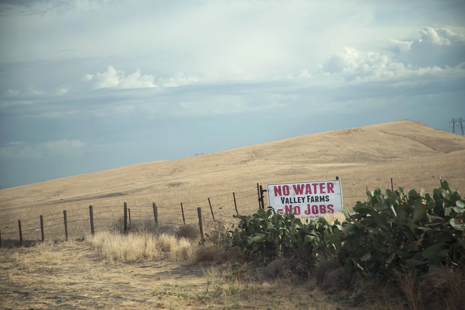 Water 10.jpg