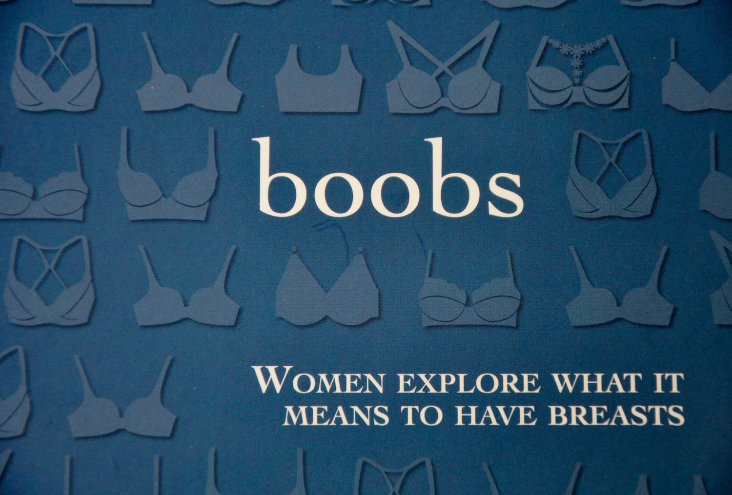 photo of book cover / click to enlarge