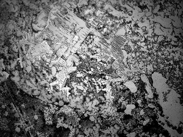 Tears of ending and beginning © 2013 Rose-Lynn Fisher / click to enlarge
