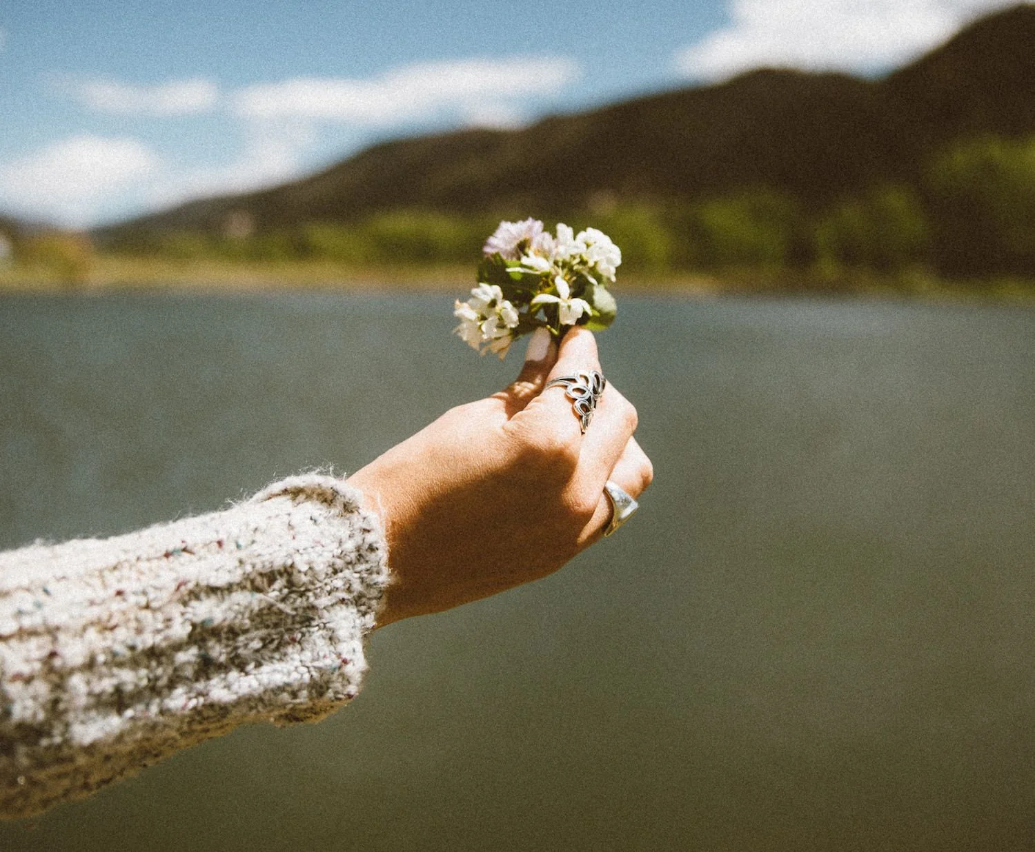 Photo by averie woodard on Unsplash . Click to enlarge.
