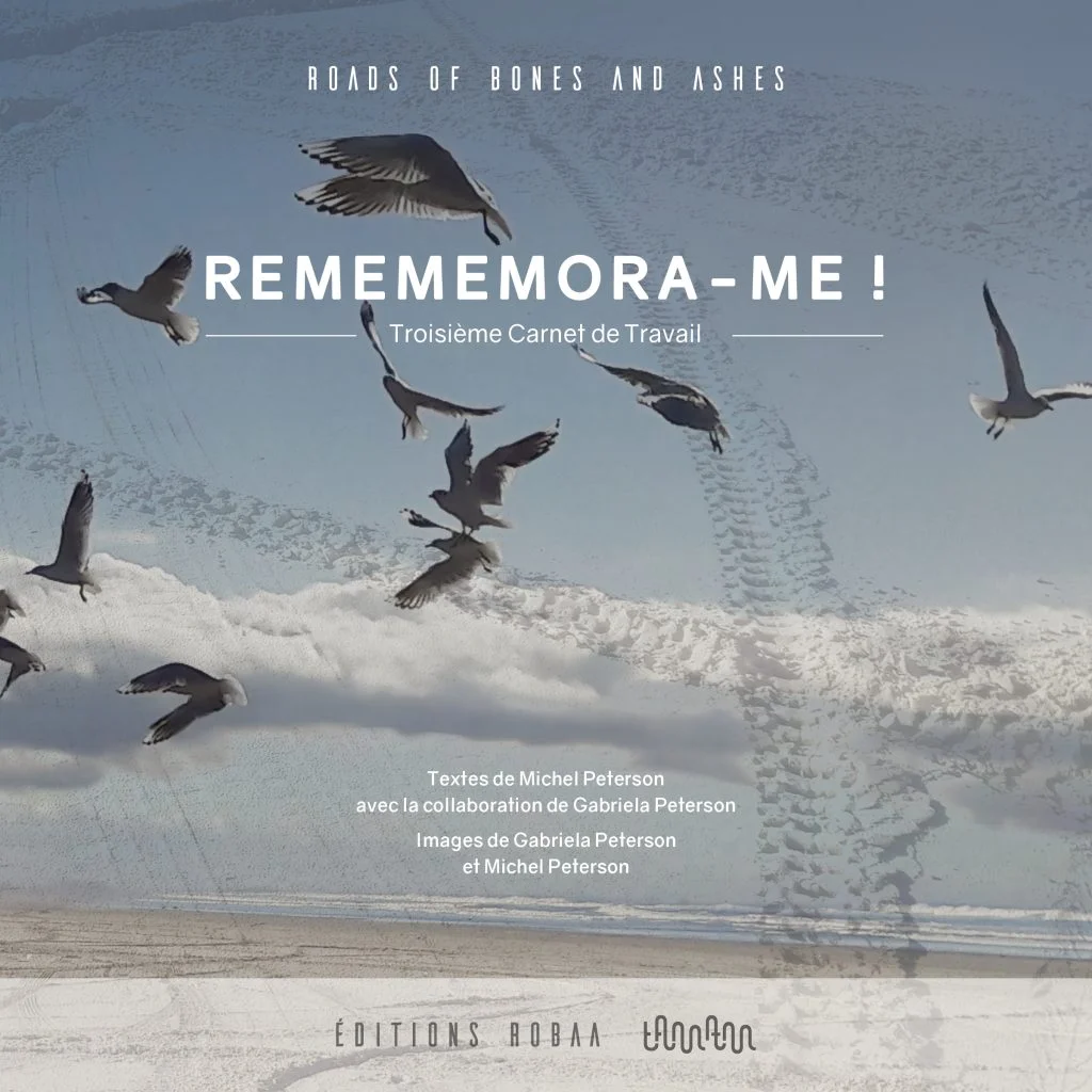 Carnet 3 - Rememora-Me.jpg