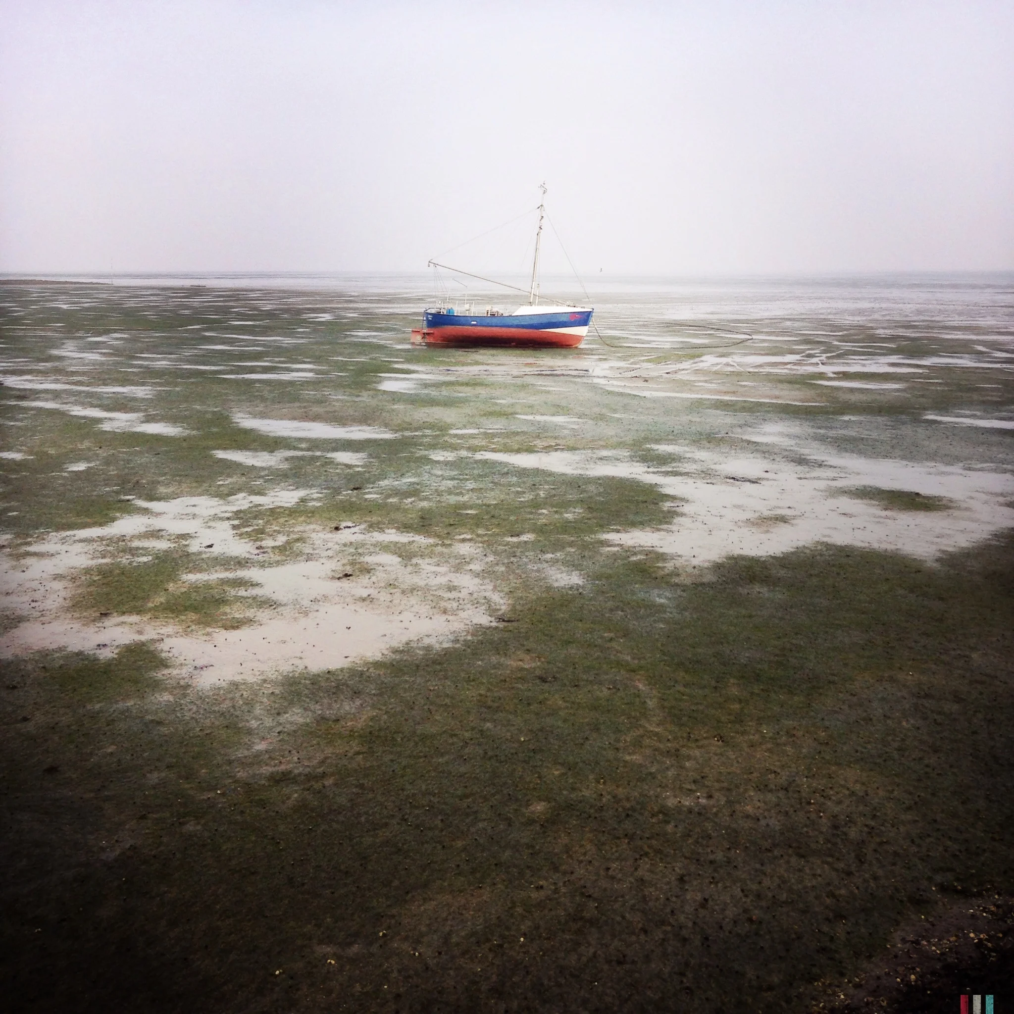 ebbe