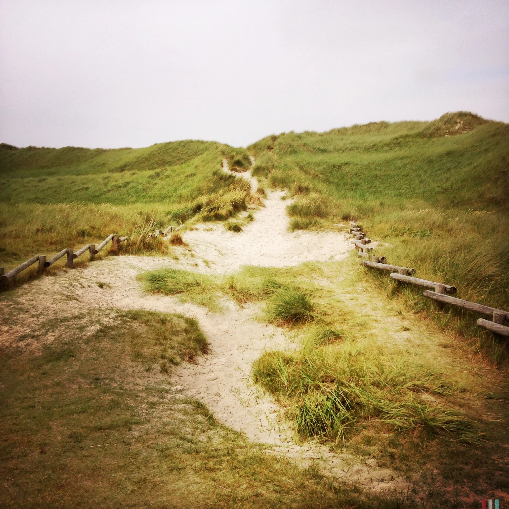 amrum