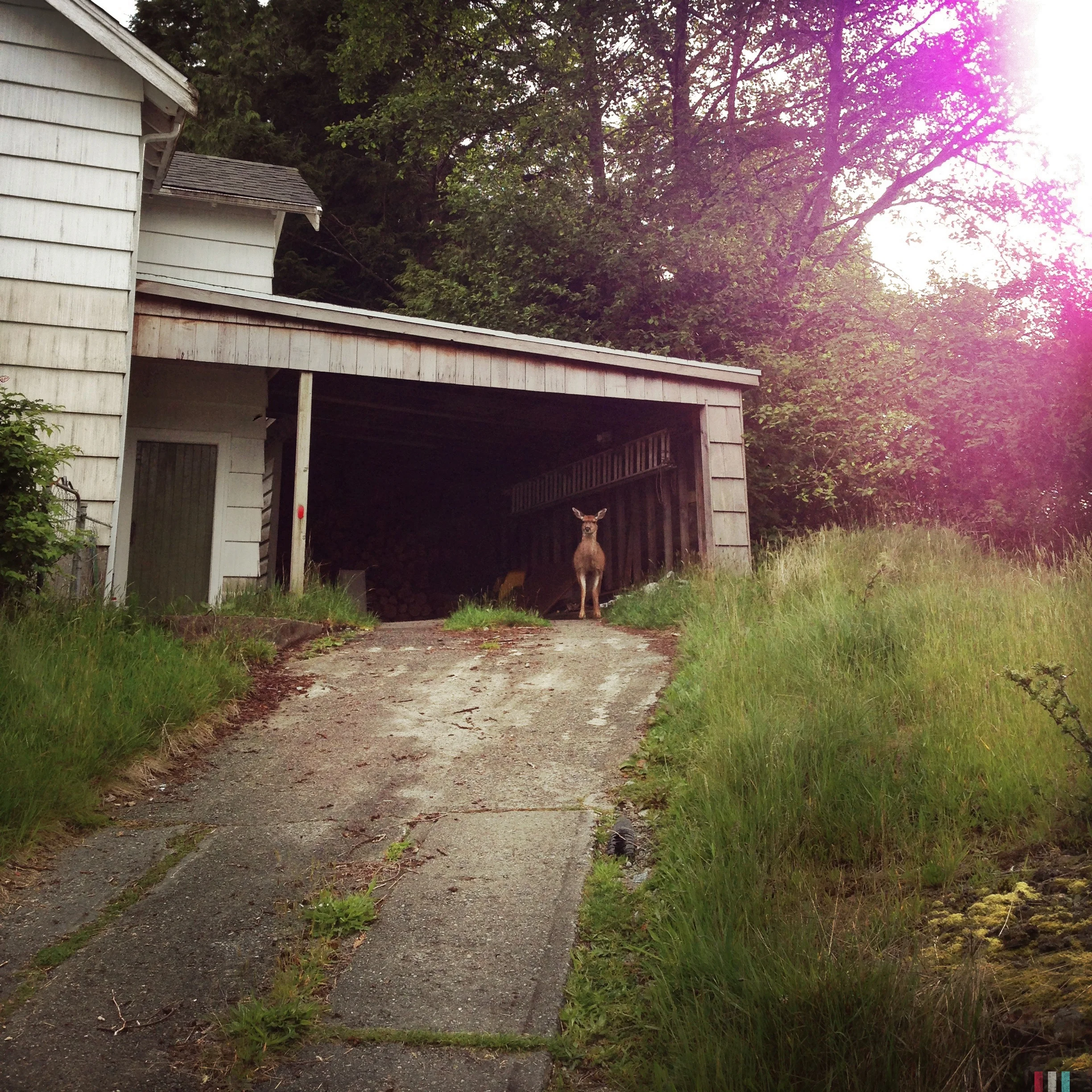 ucluelet