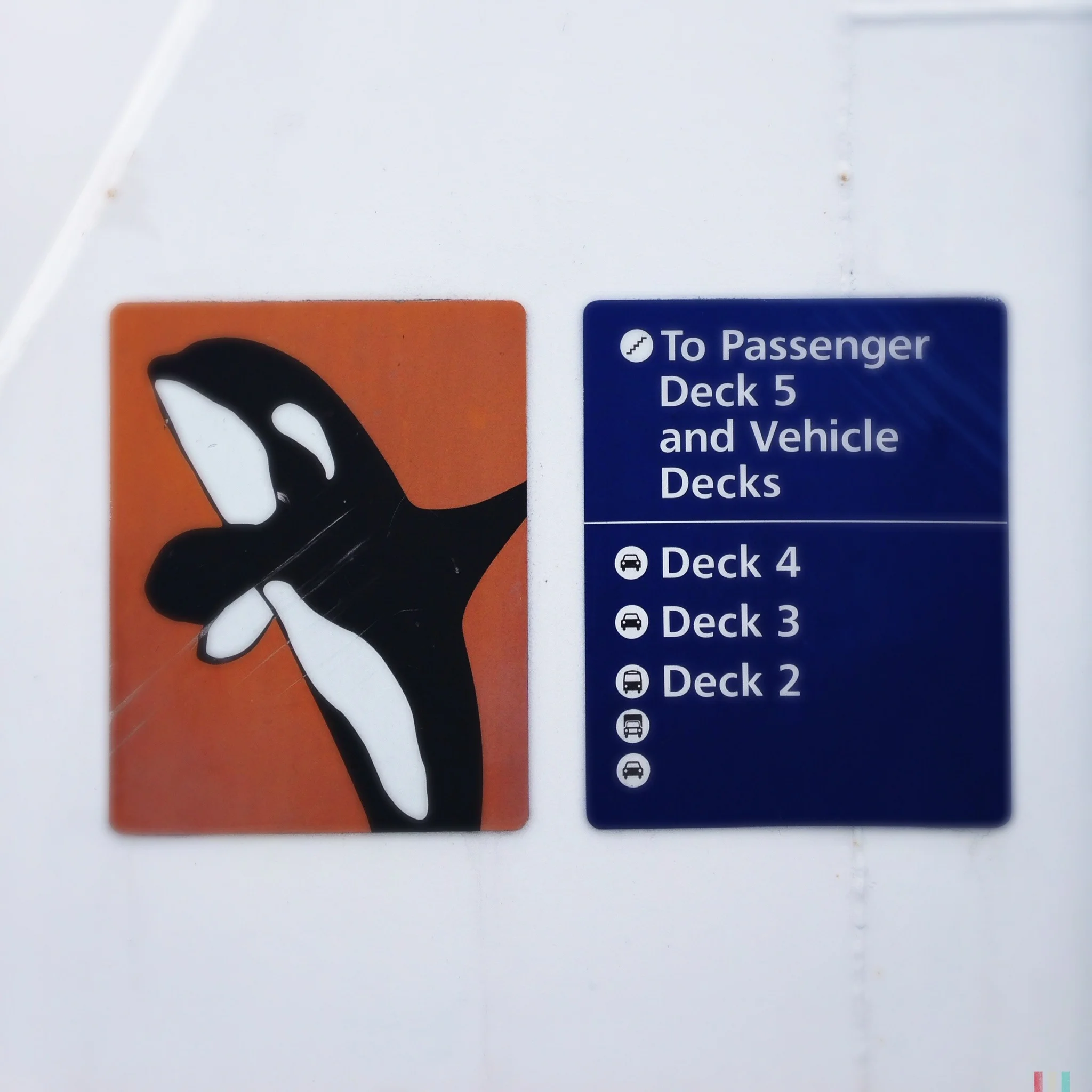überall orcas