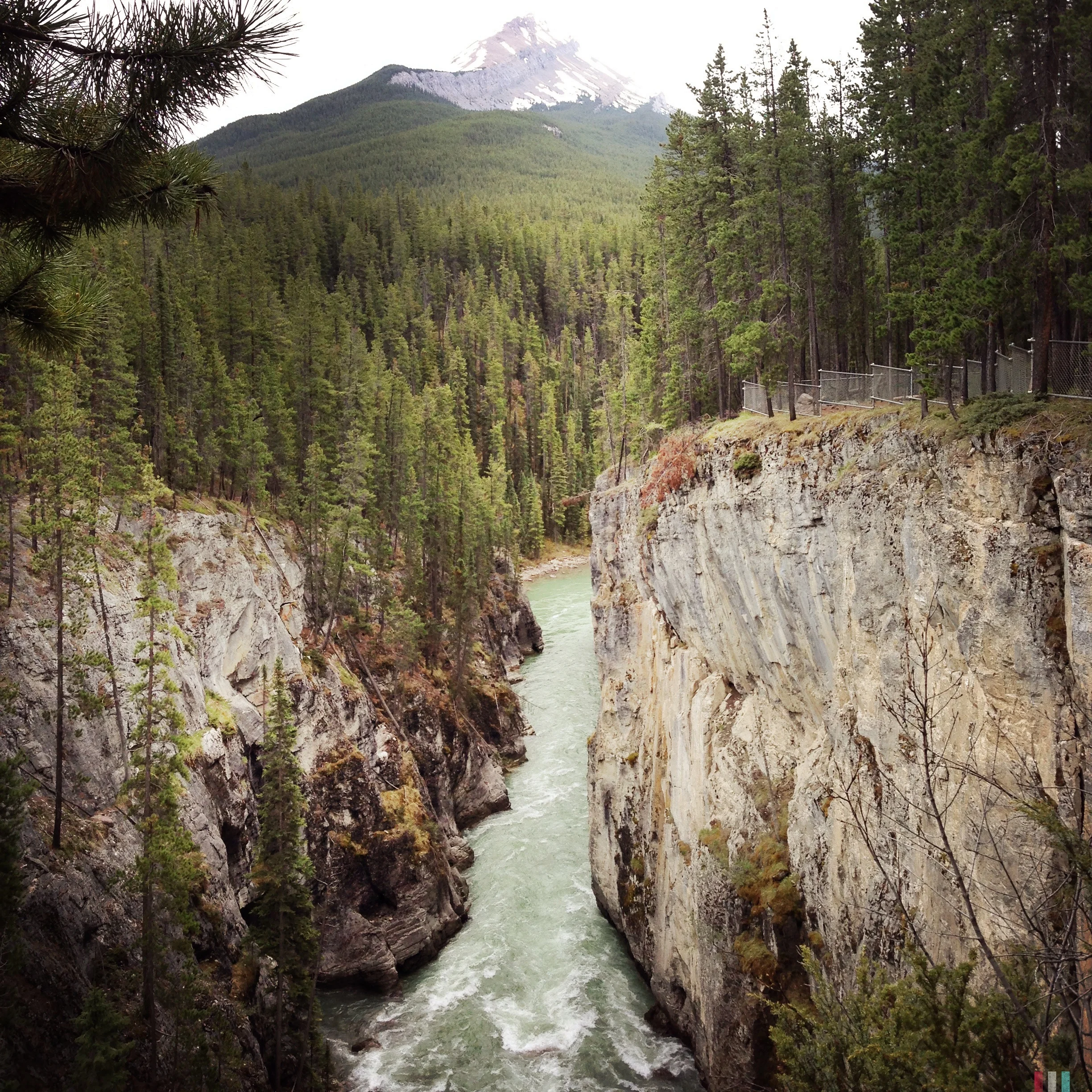 sunwapta canyon