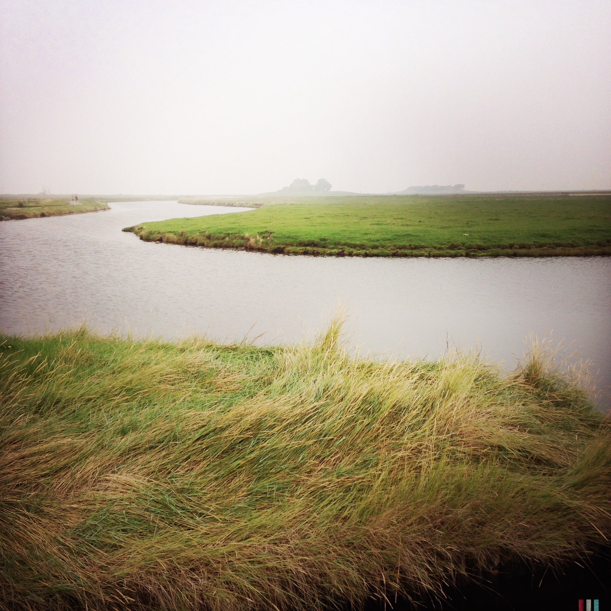 hallig hooge (08).JPG
