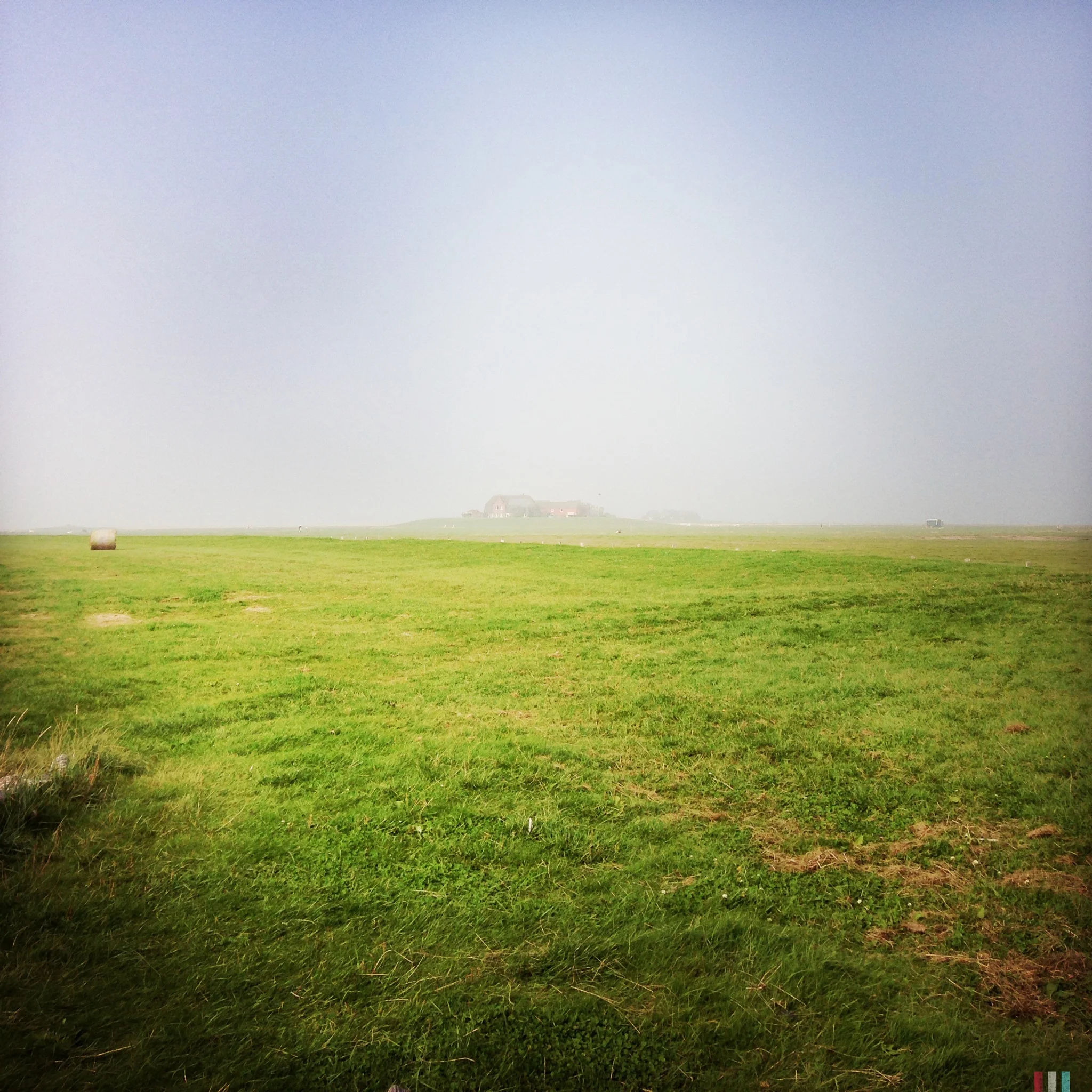 hallig hooge (13).JPG