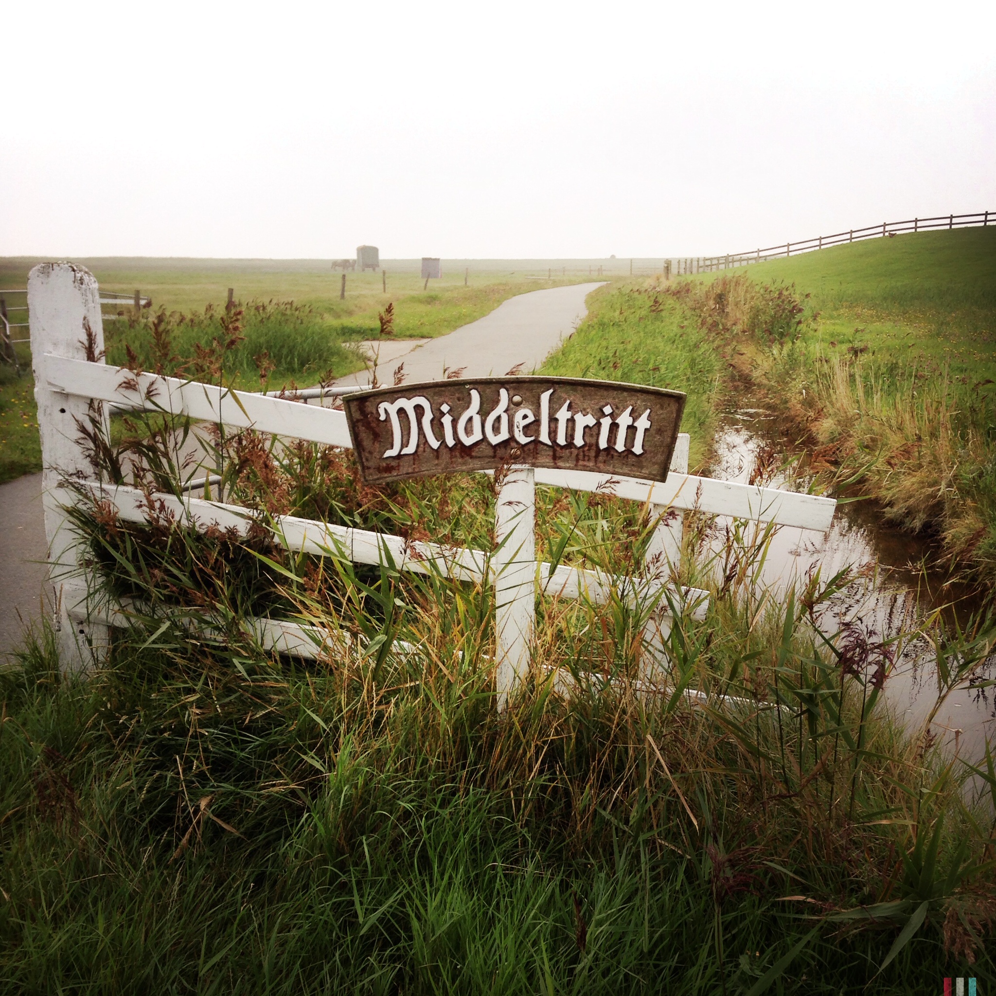 hallig hooge (14).JPG