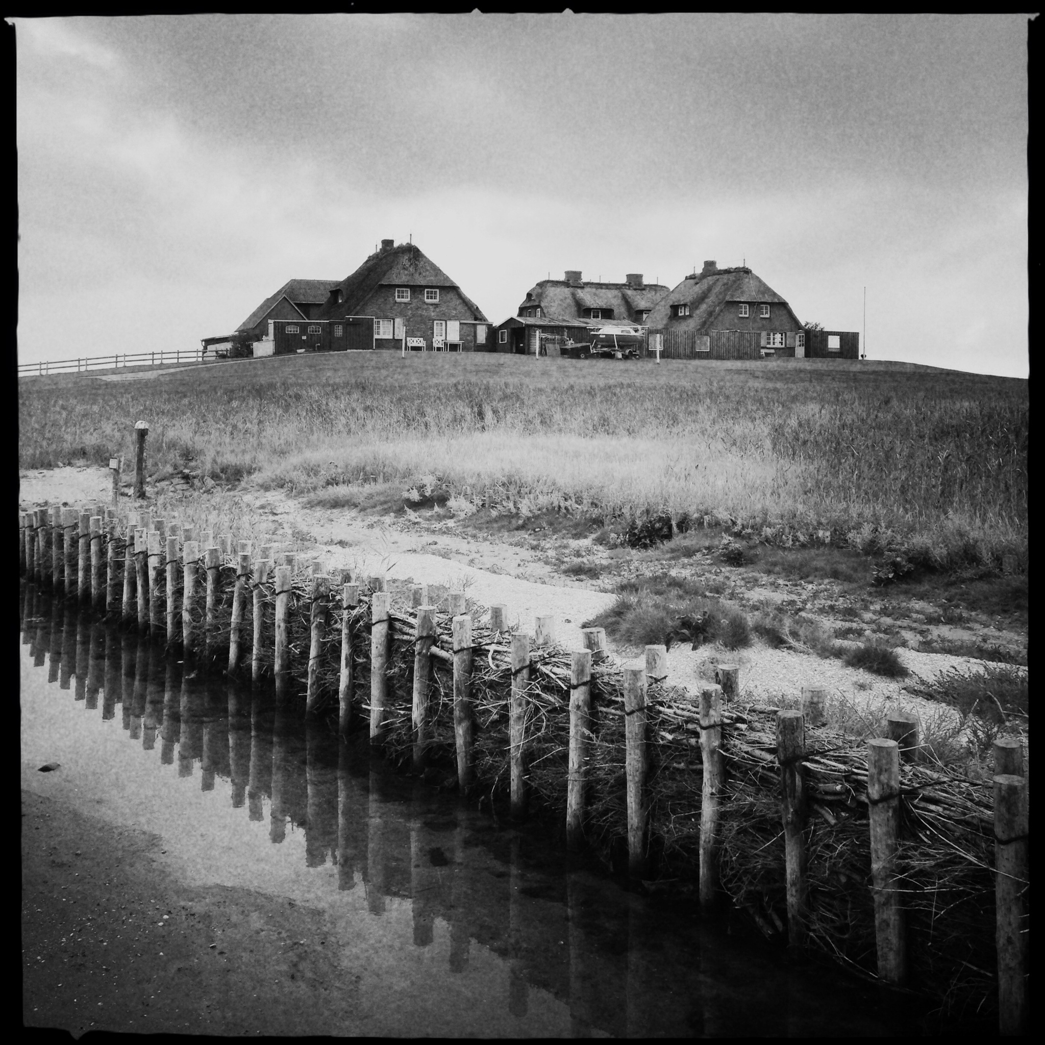 hallig hooge (31).JPG