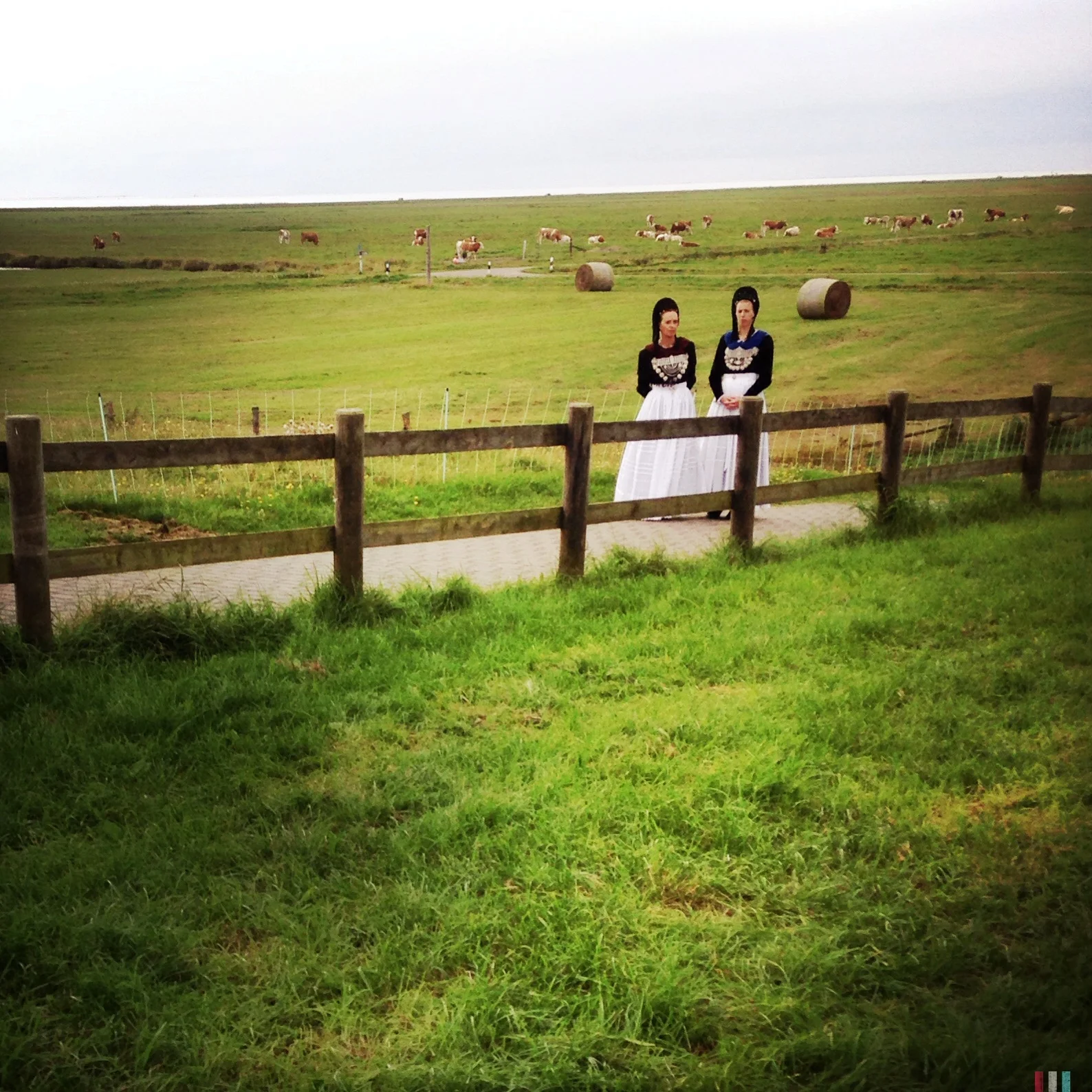 hallig hooge (34).JPG