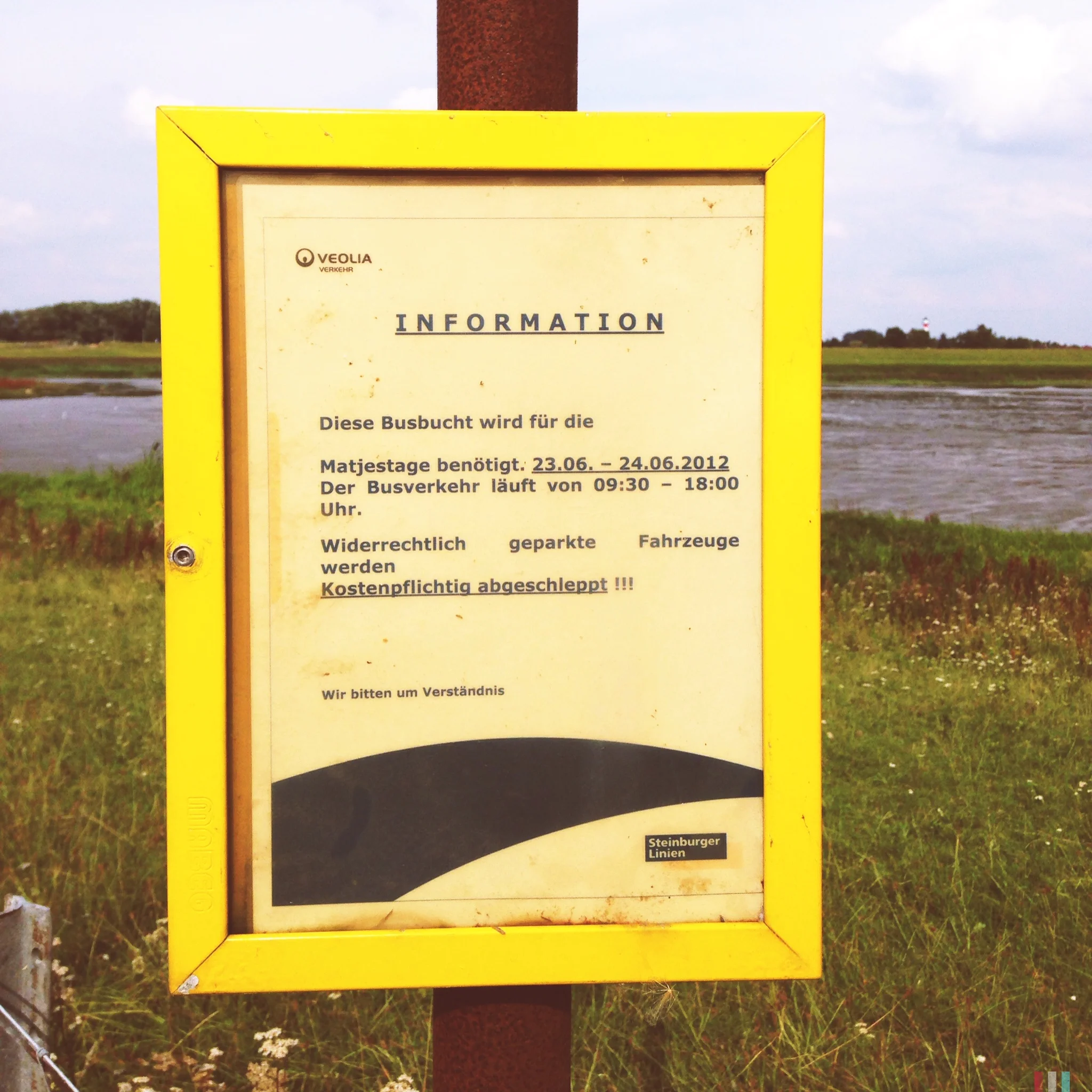 matjestage 2013.JPG