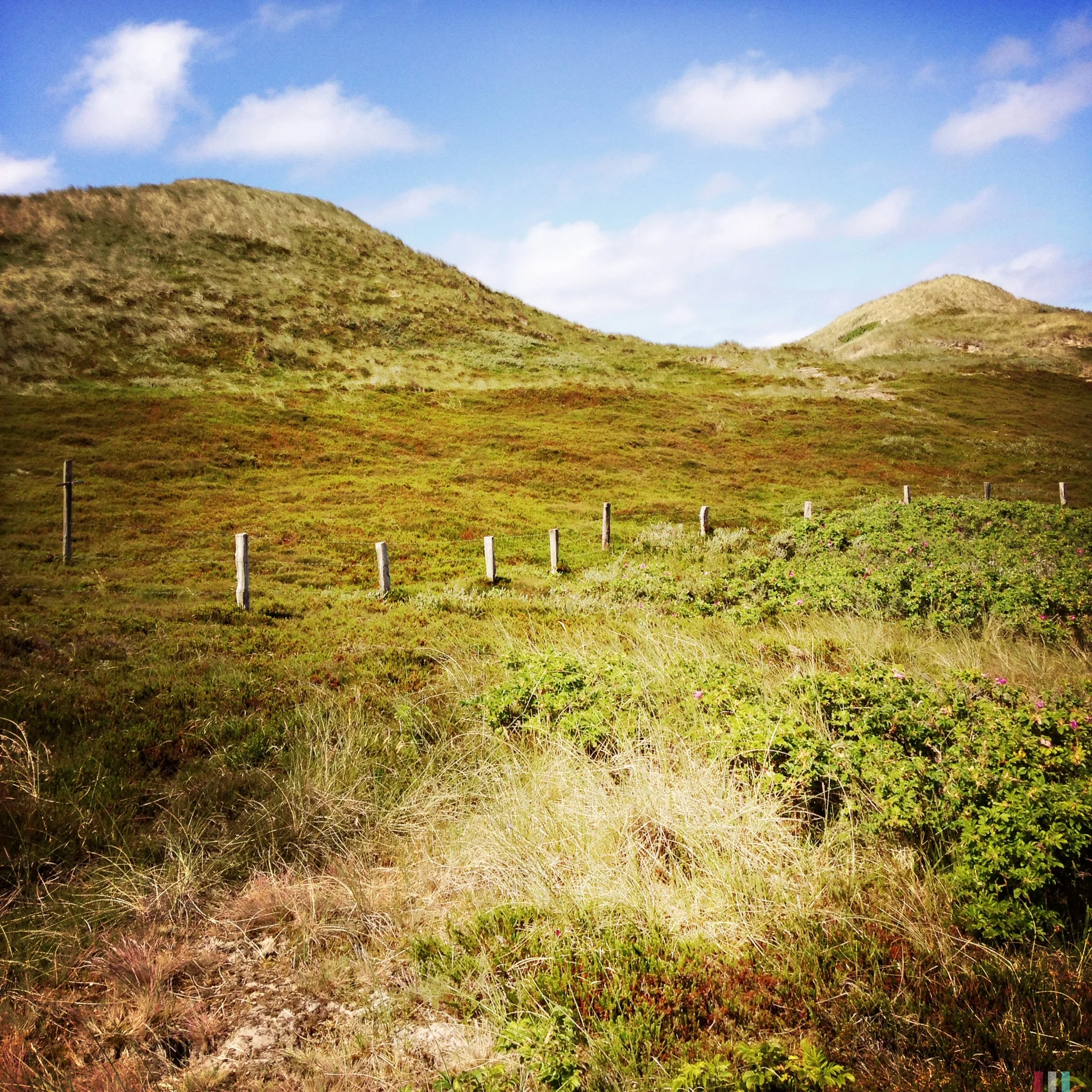 sylt (36).JPG