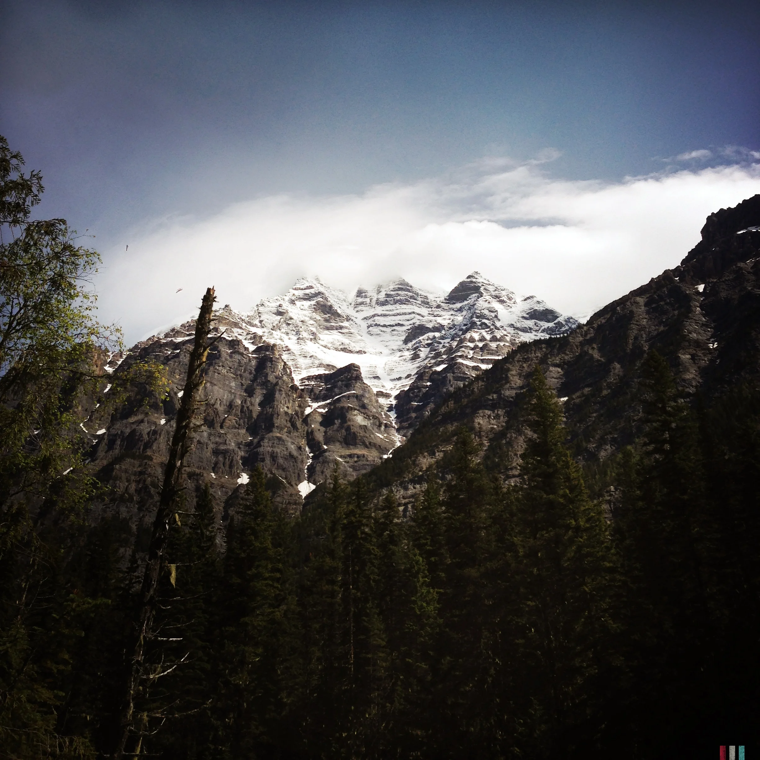 berg-lake-trail.jpg