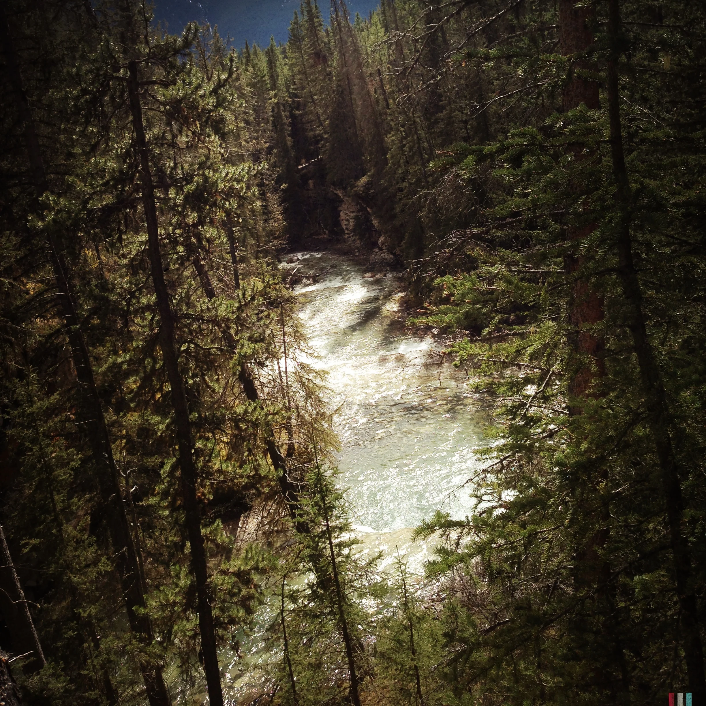 johnston-canyon.jpg
