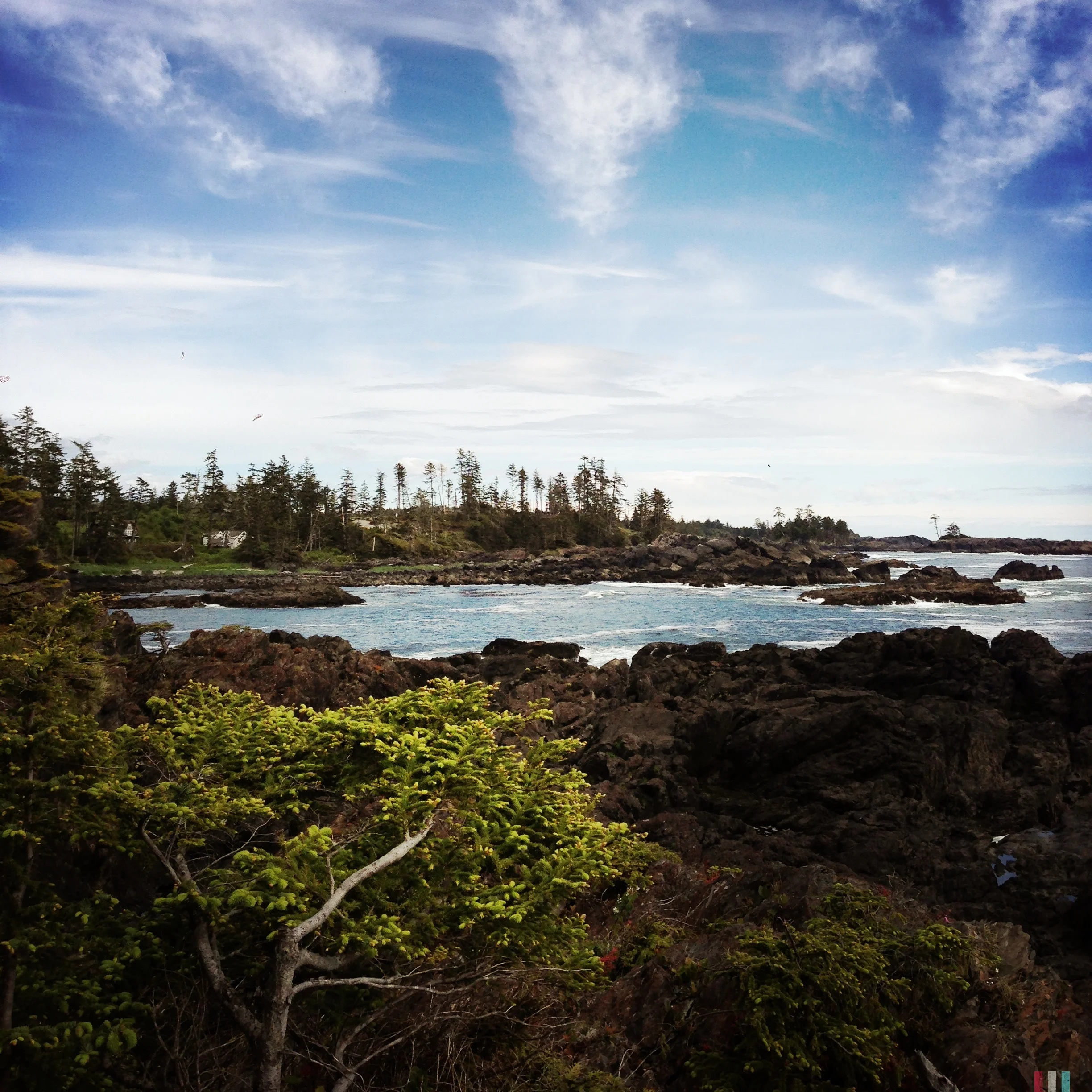 pacific-rim.jpg