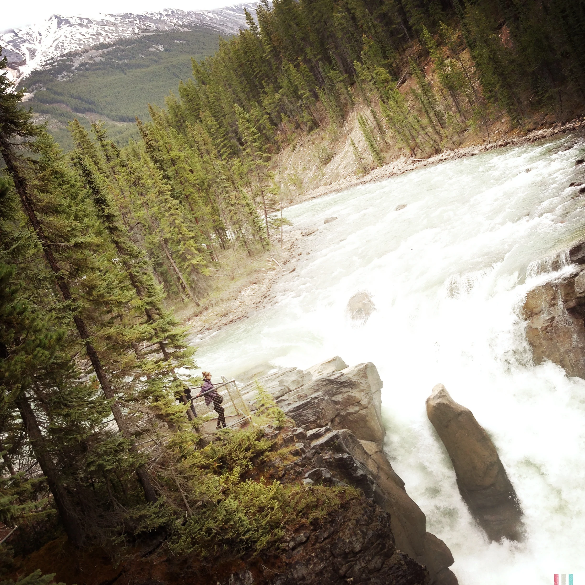 sunwapta-falls.jpg