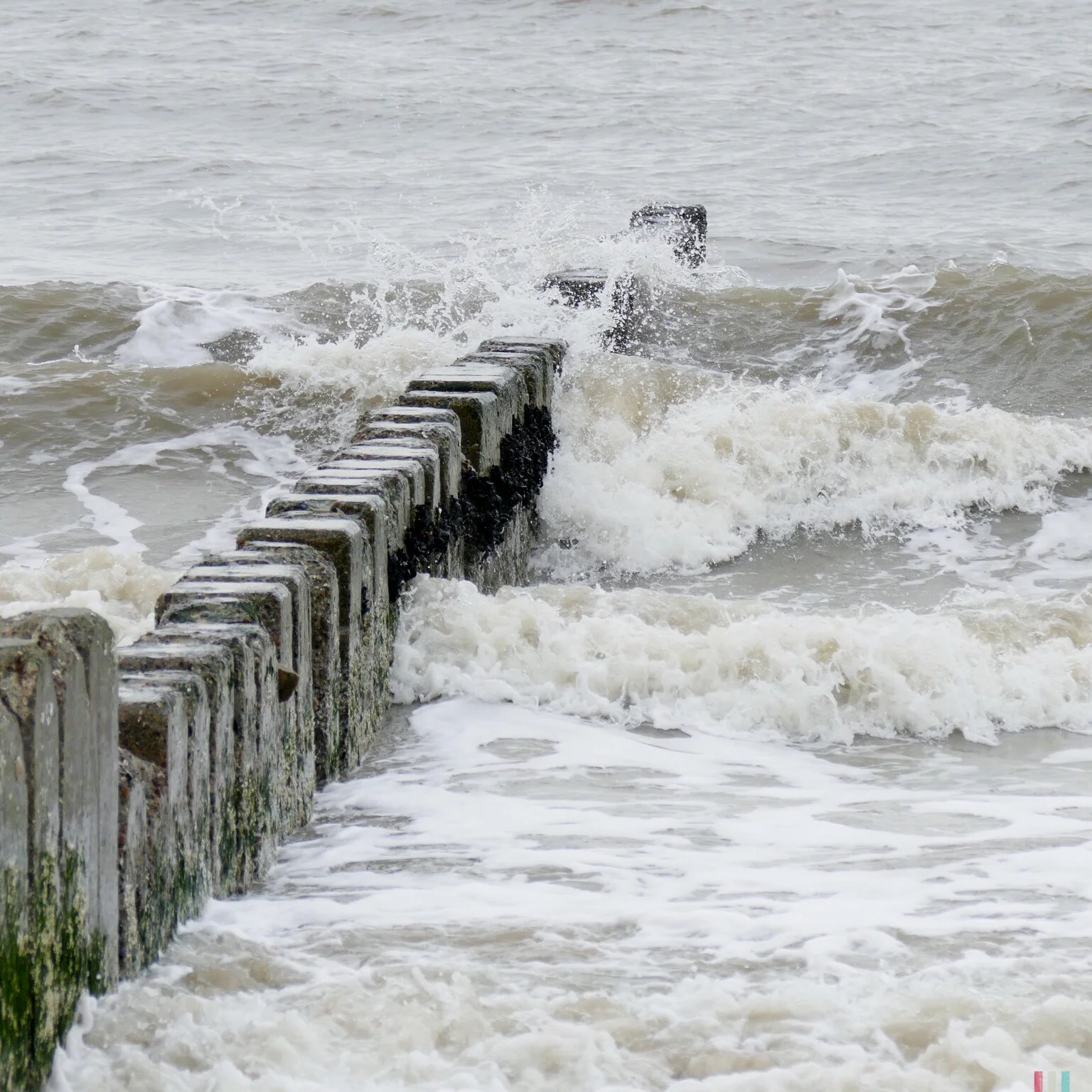 sylt im märz