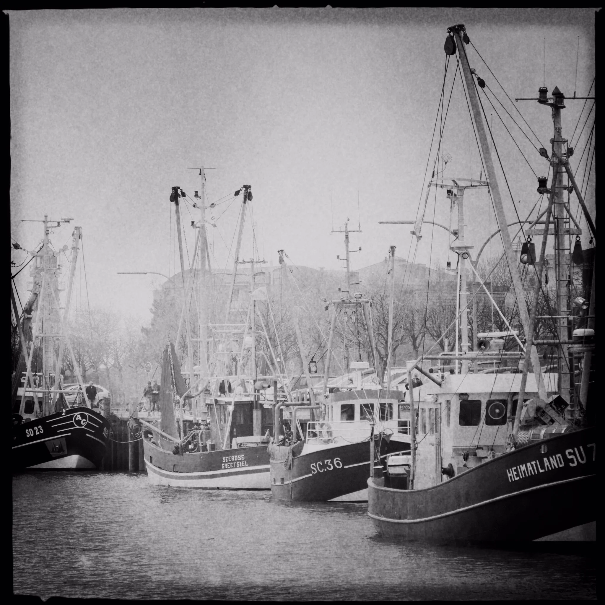 büsum, hafen