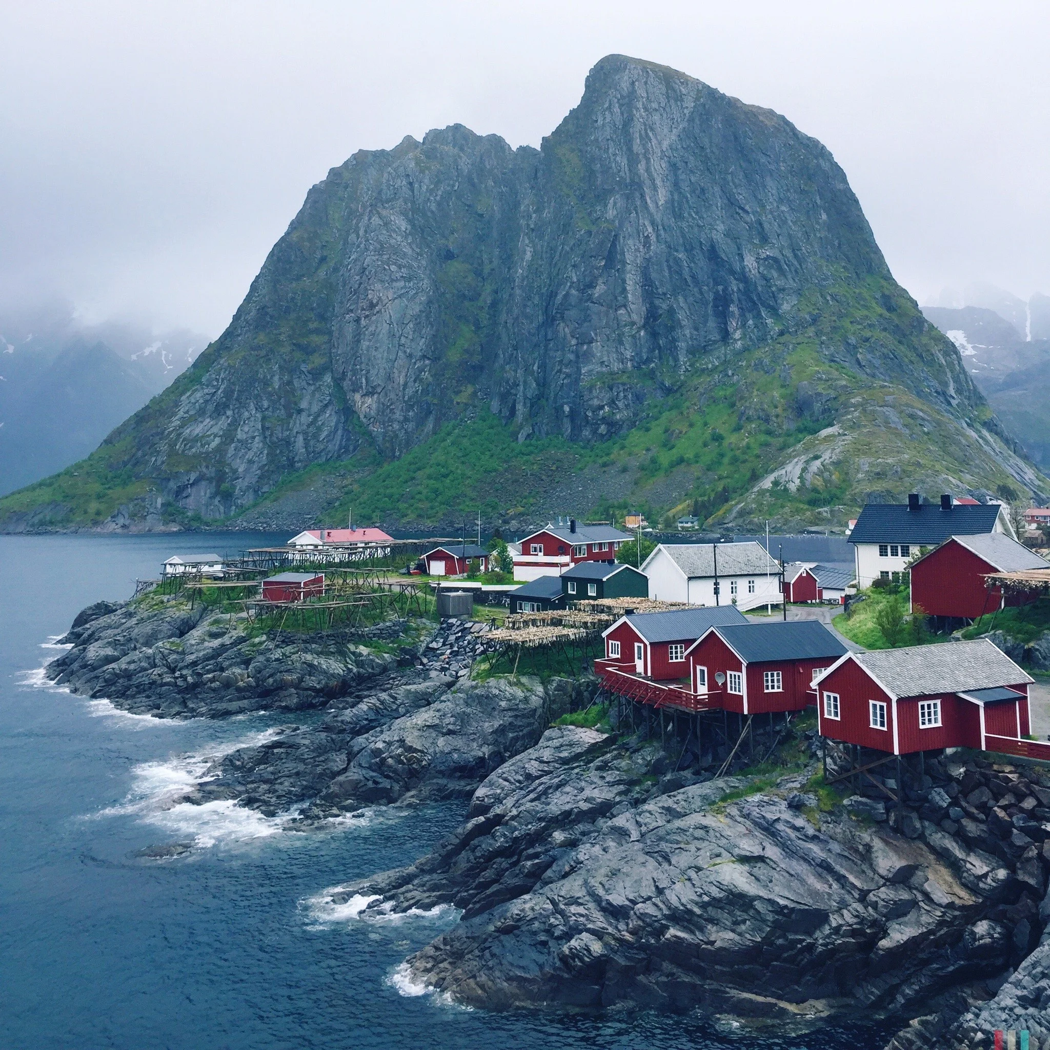 reine