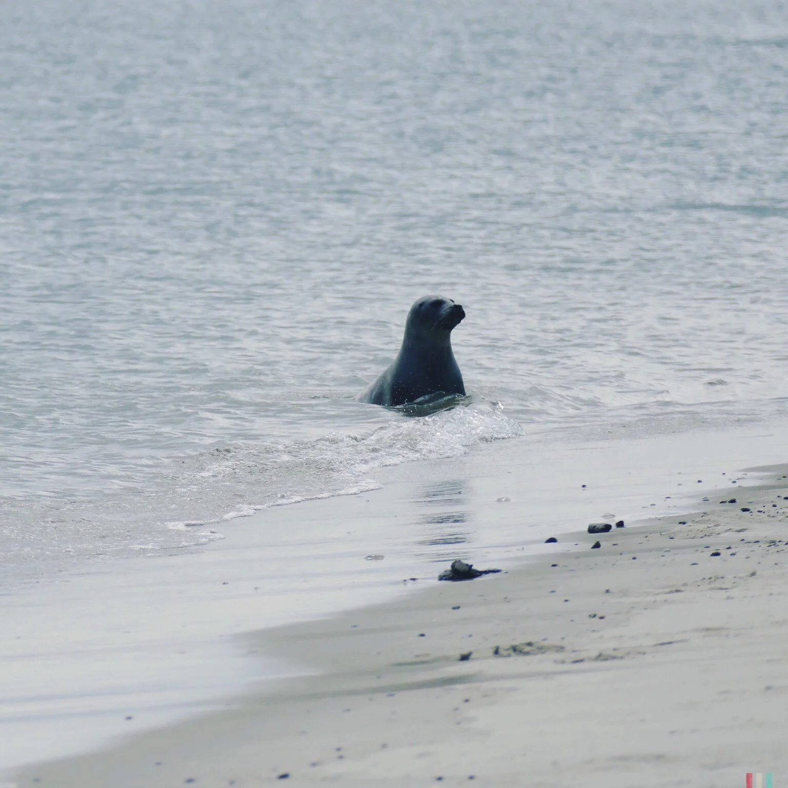 norderney