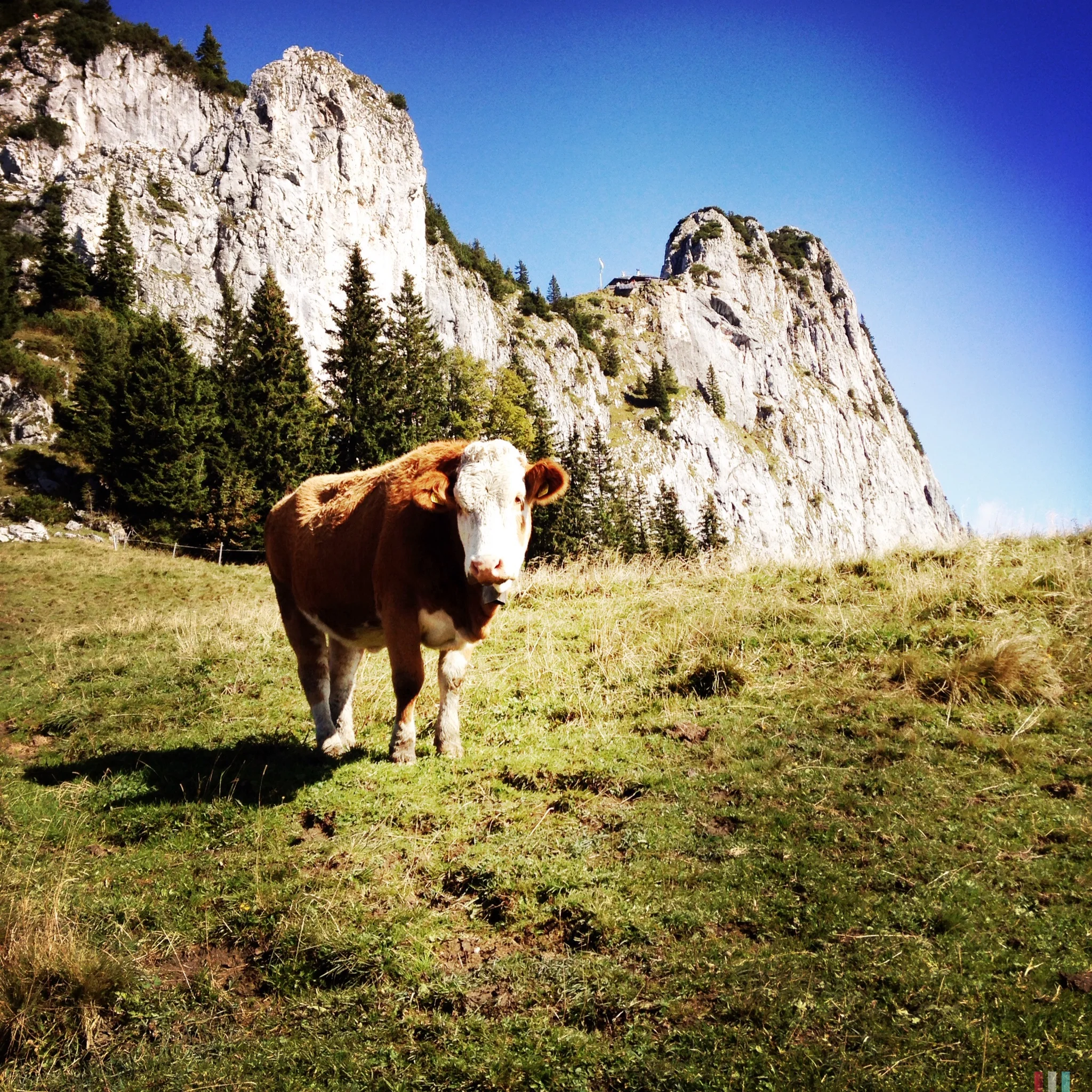 allgäu.jpg