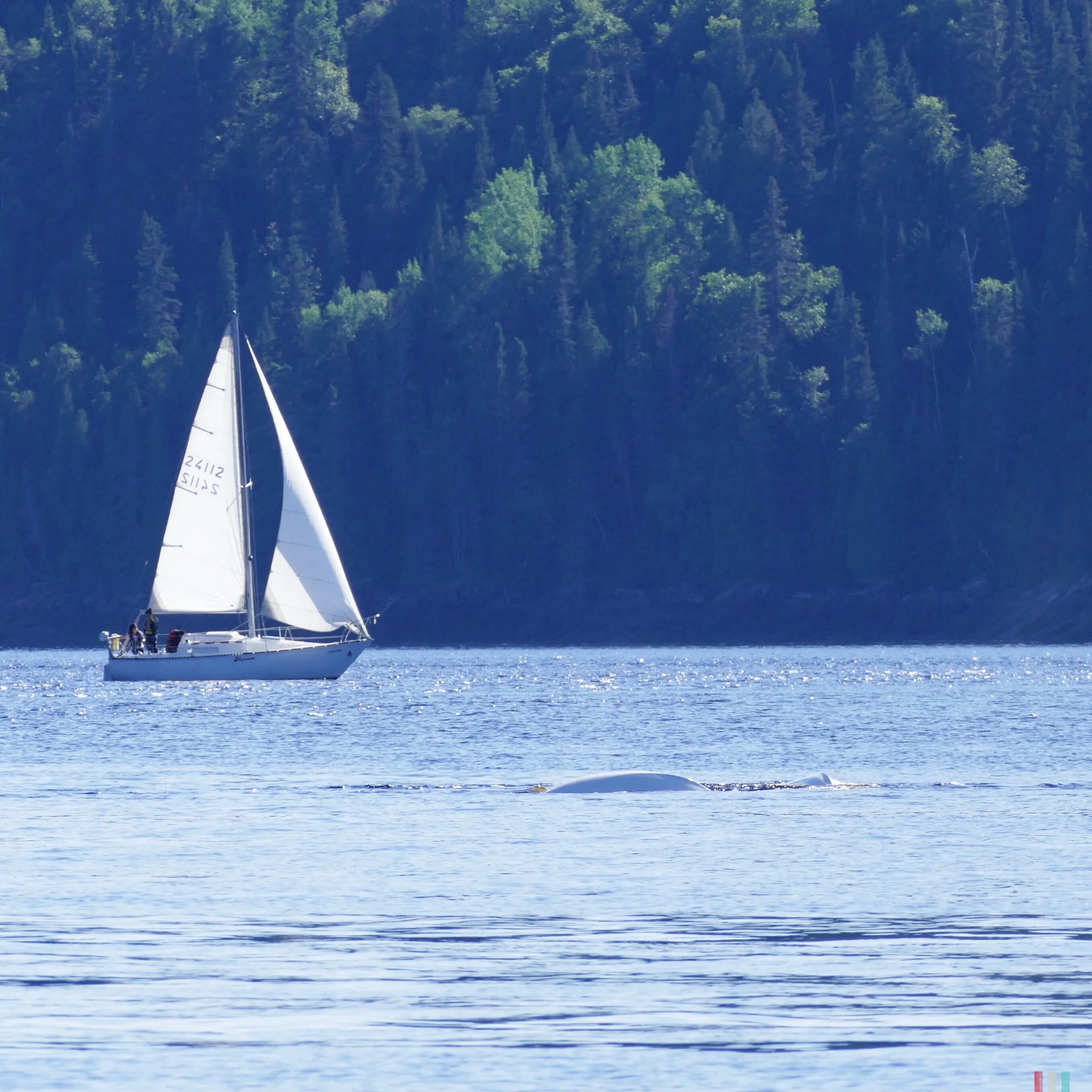 Foto 28.08.16, 02 58 02.jpg