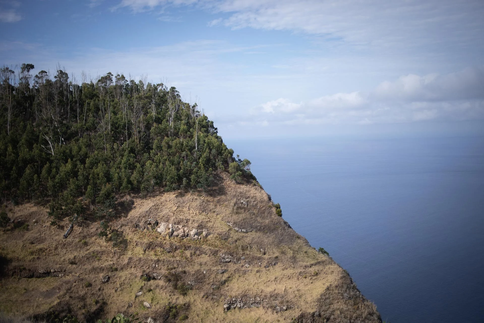 walreise-madeira-110A7411-foto-oliver-dirr-whaletrips-1920.jpg