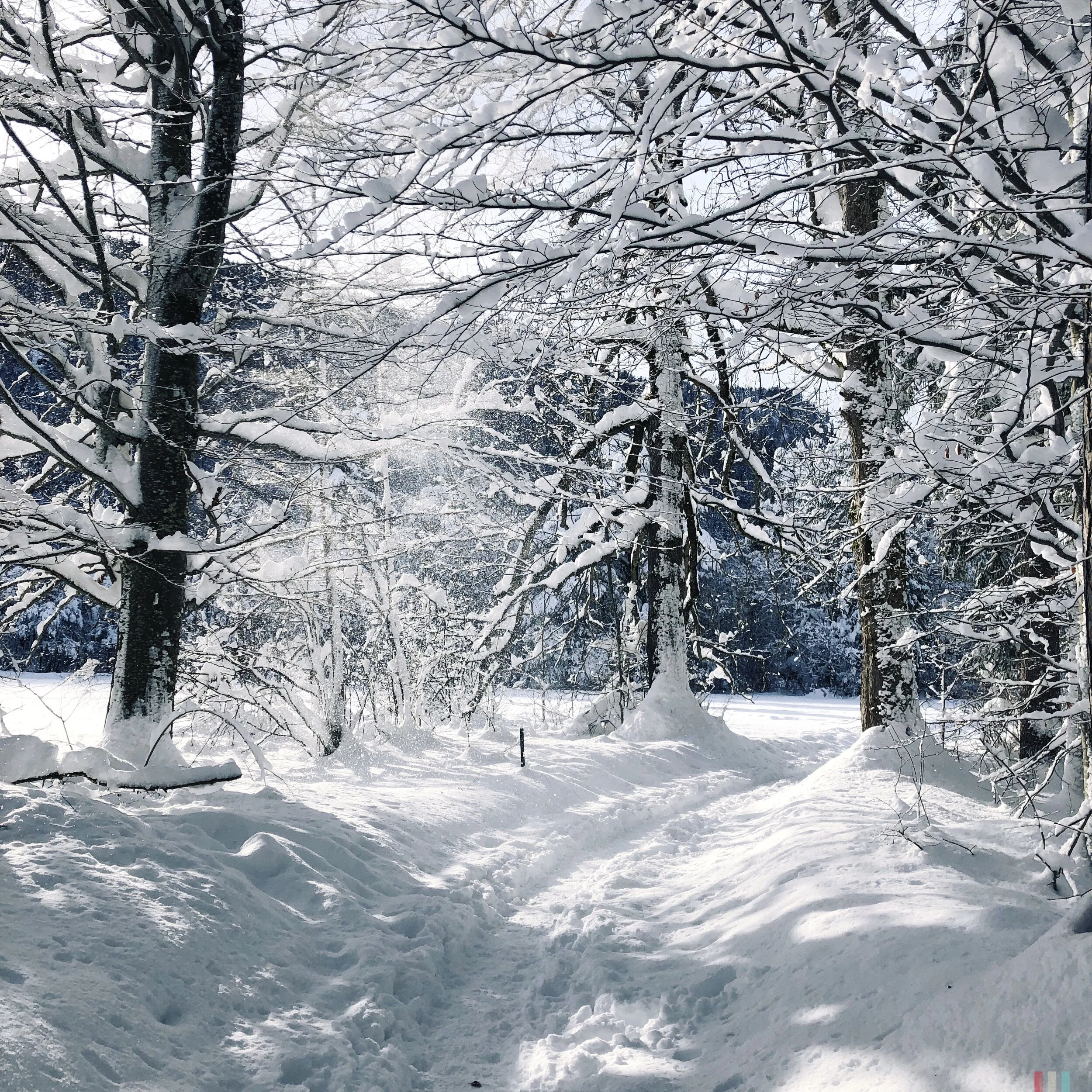 rieden-im-winter-22.jpg