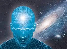 cervell.jpg