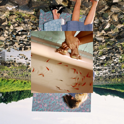 tumblr_inline_o8pucv1Jiq1r1vr2w_500.jpg