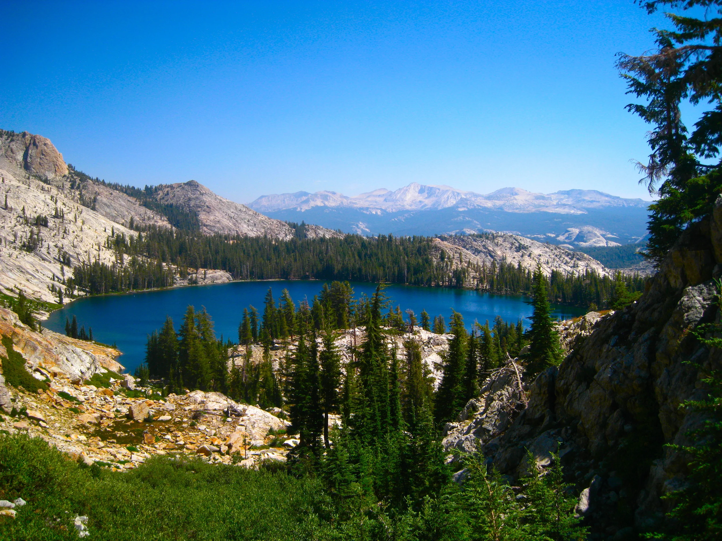 IMG_4117 - Copy.JPG