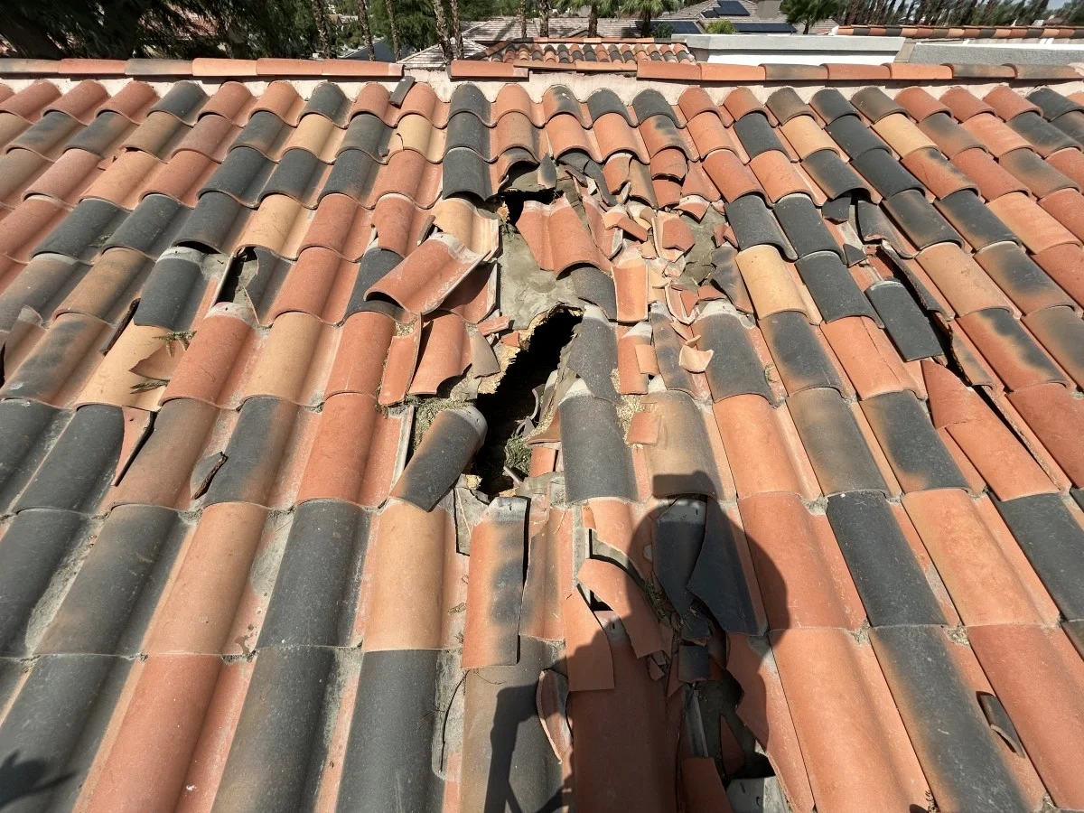 When To Replace Your Roof: 8 Signs It's Time